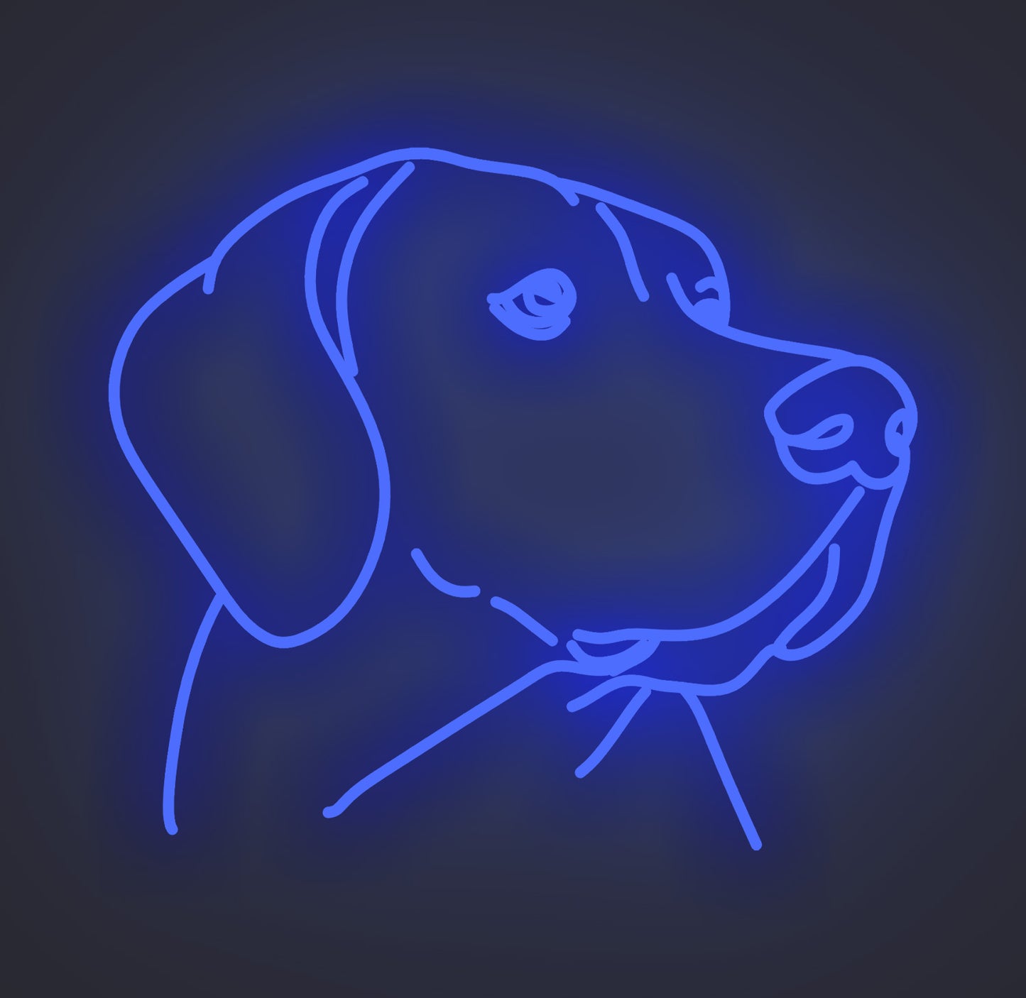 Labrador Retriever Dog 01