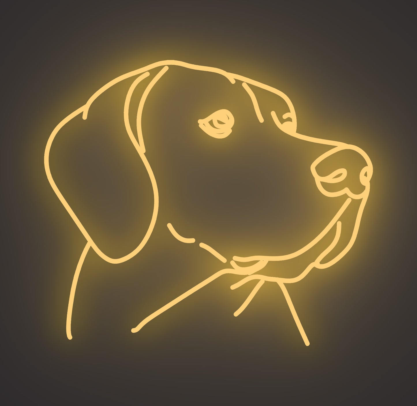 Labrador Retriever Dog 01