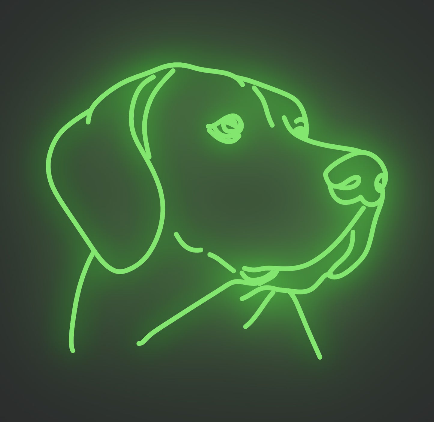 Labrador Retriever Dog 01