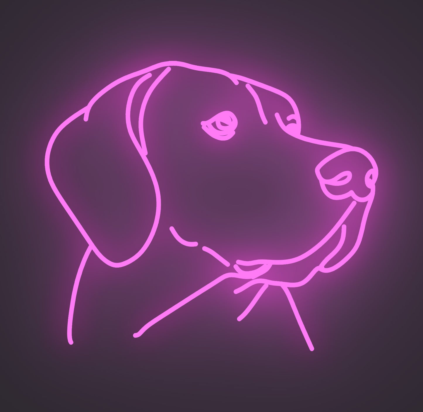 Labrador Retriever Dog 01