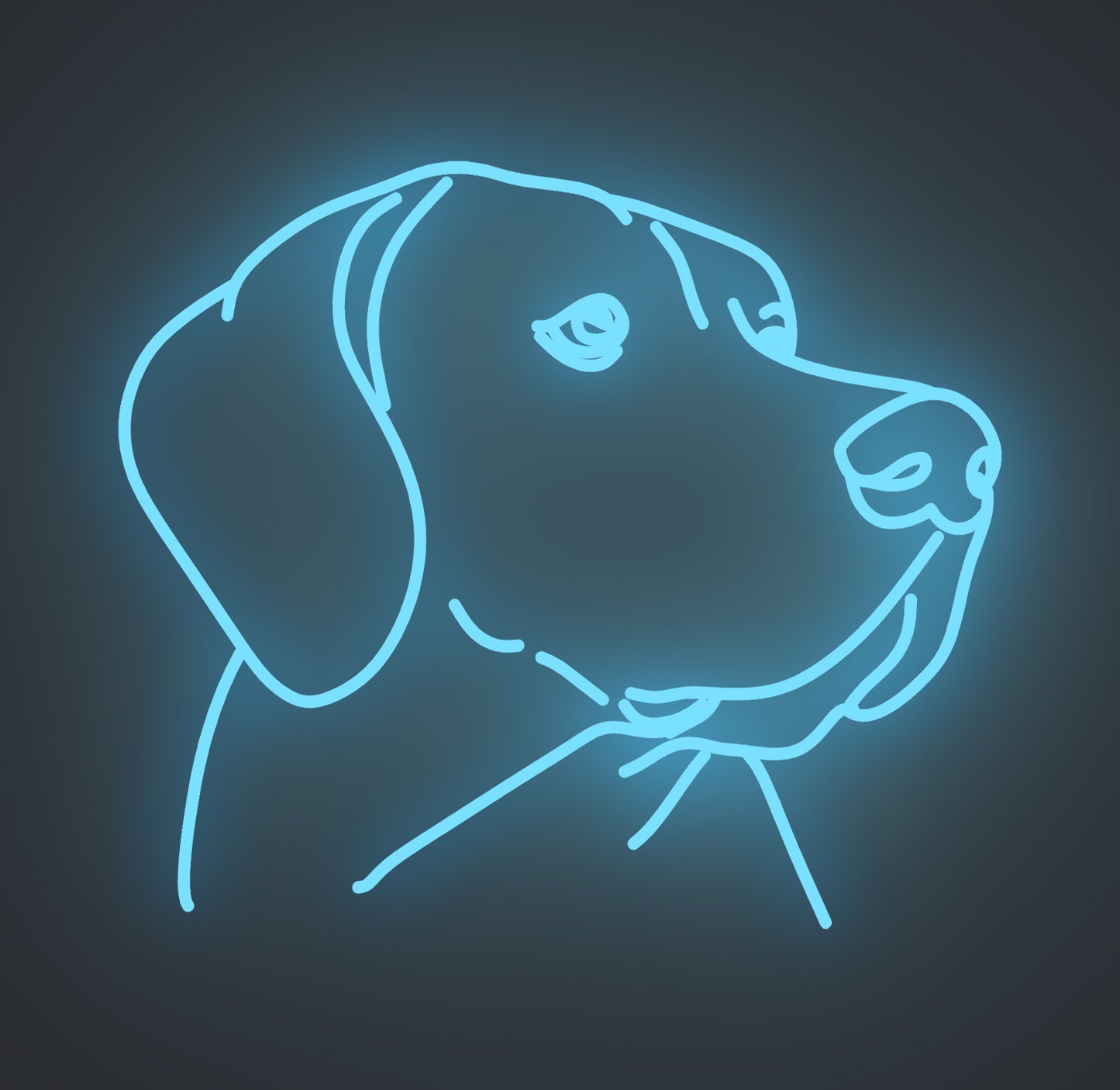 Labrador Retriever Dog 01