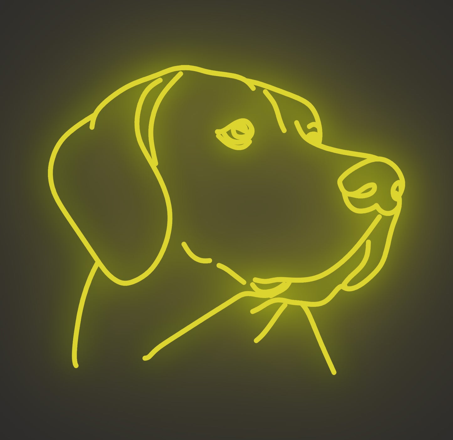 Labrador Retriever Dog 01