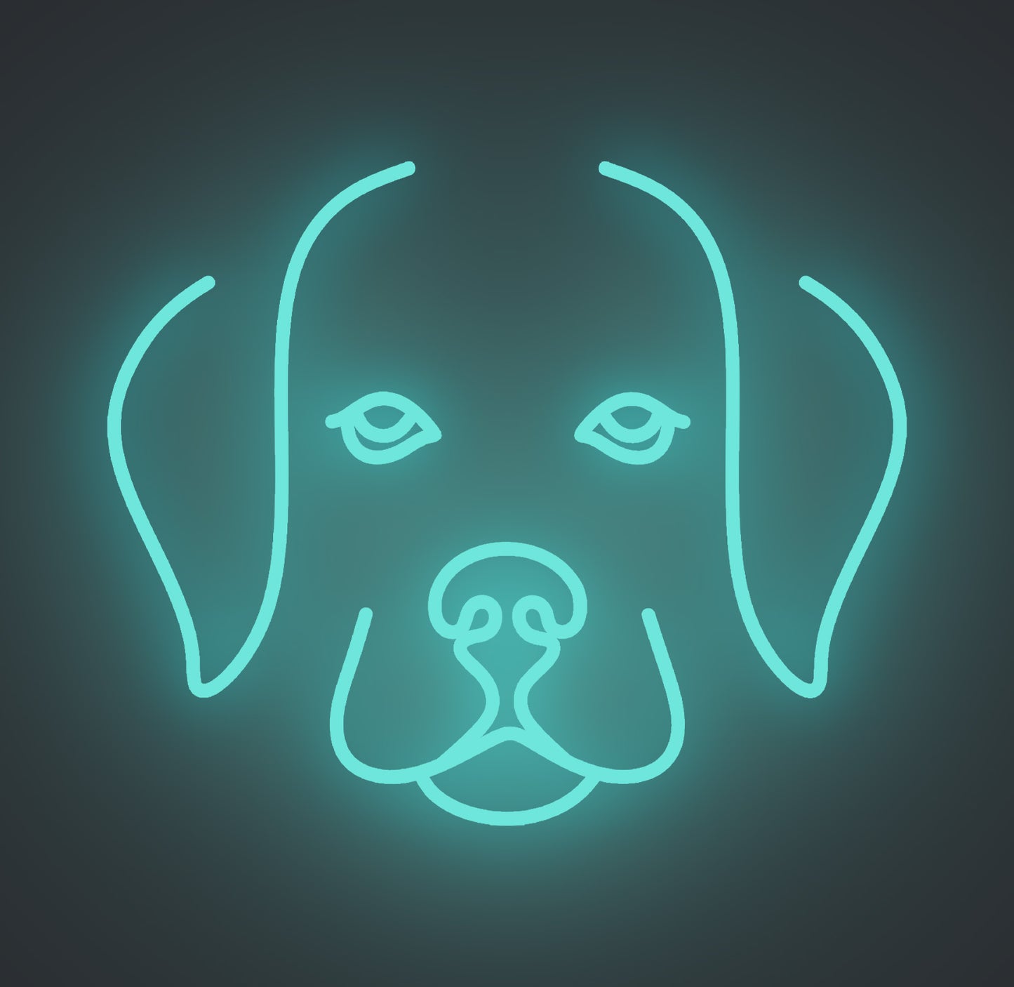 Labrador Retriever Puppy Dog