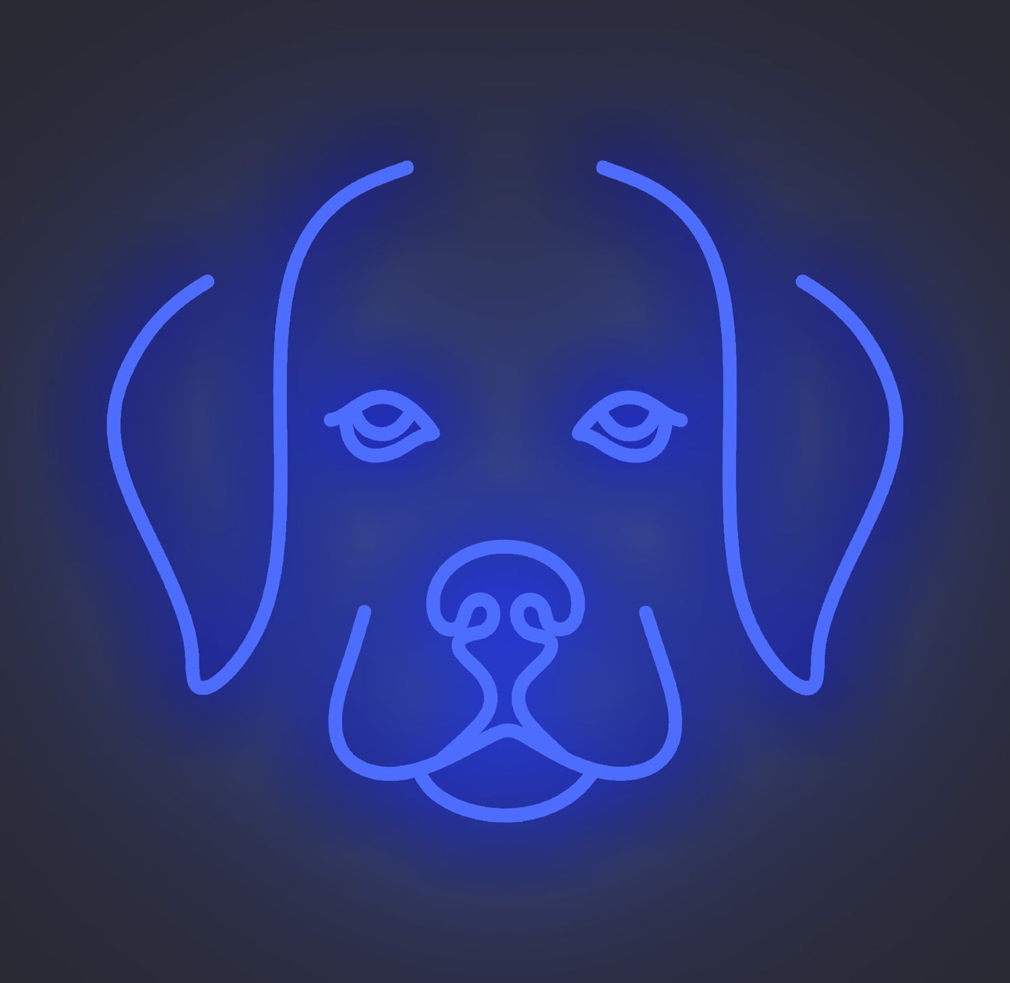 Labrador Retriever Puppy Dog