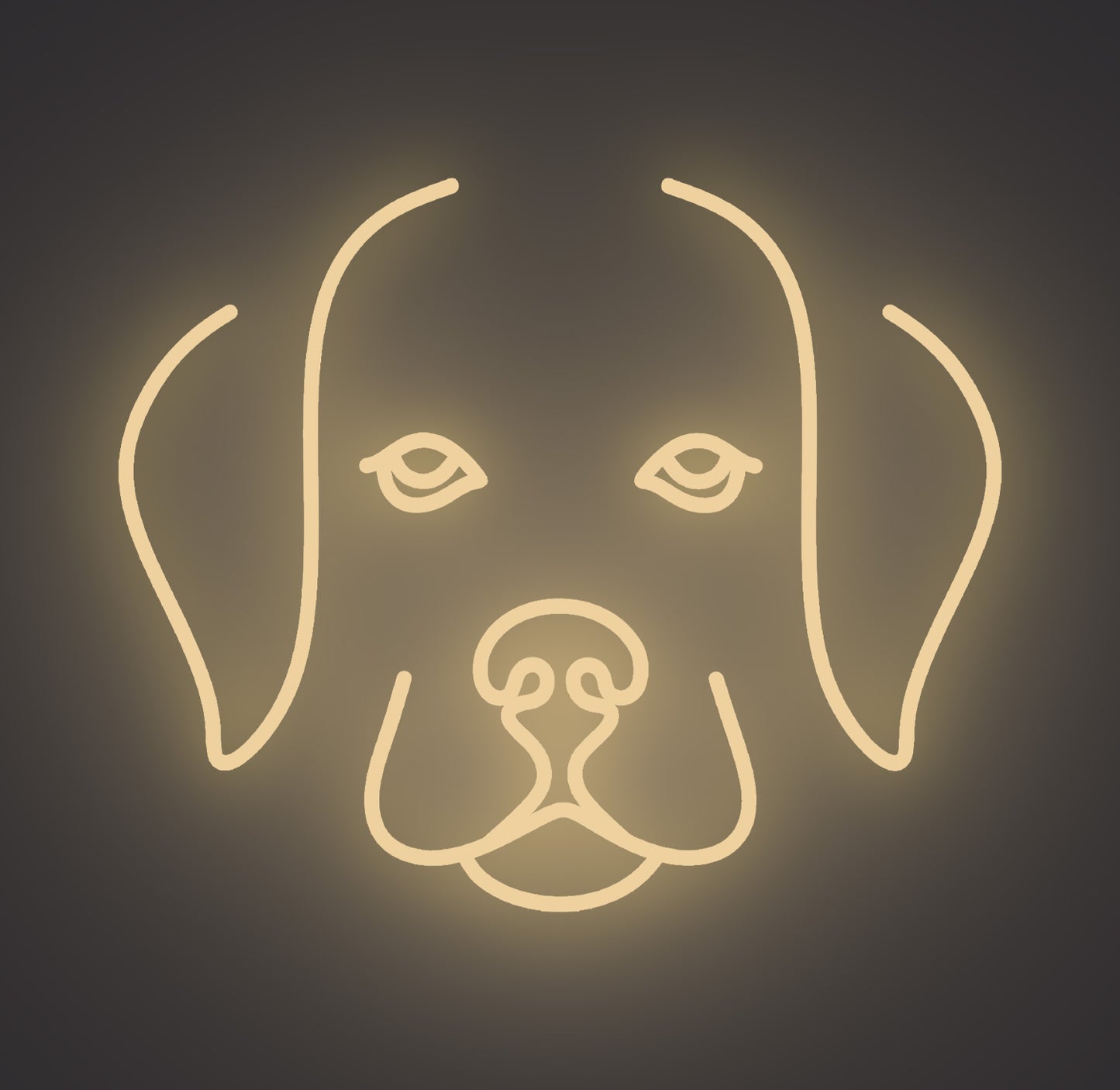 Labrador Retriever Puppy Dog