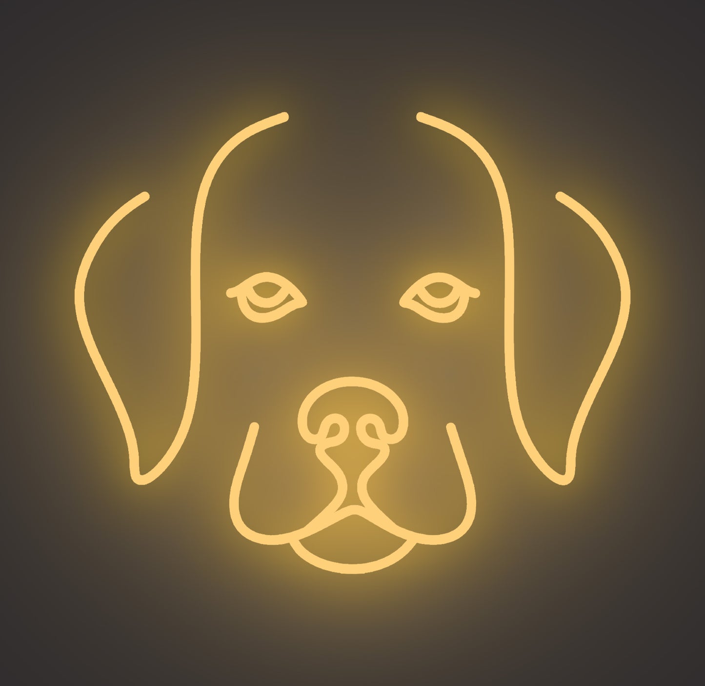 Labrador Retriever Puppy Dog