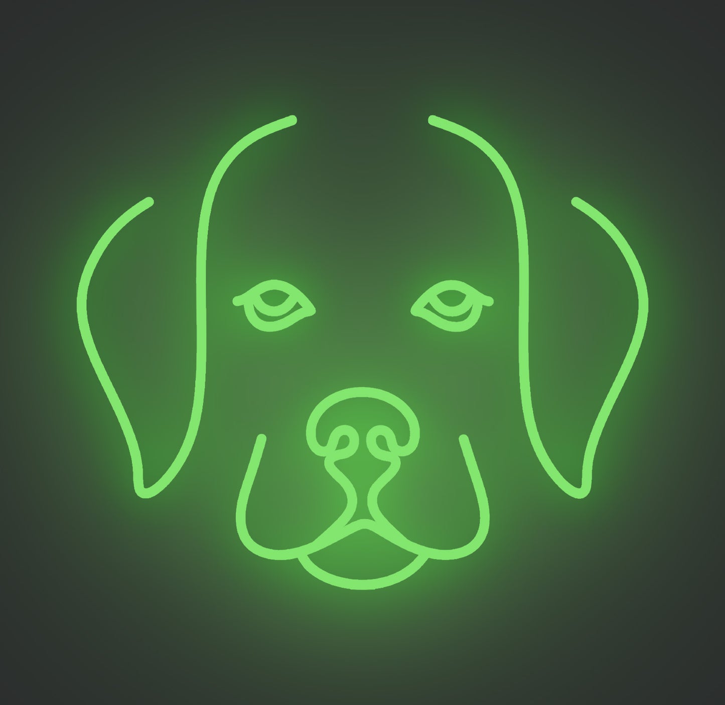 Labrador Retriever Puppy Dog