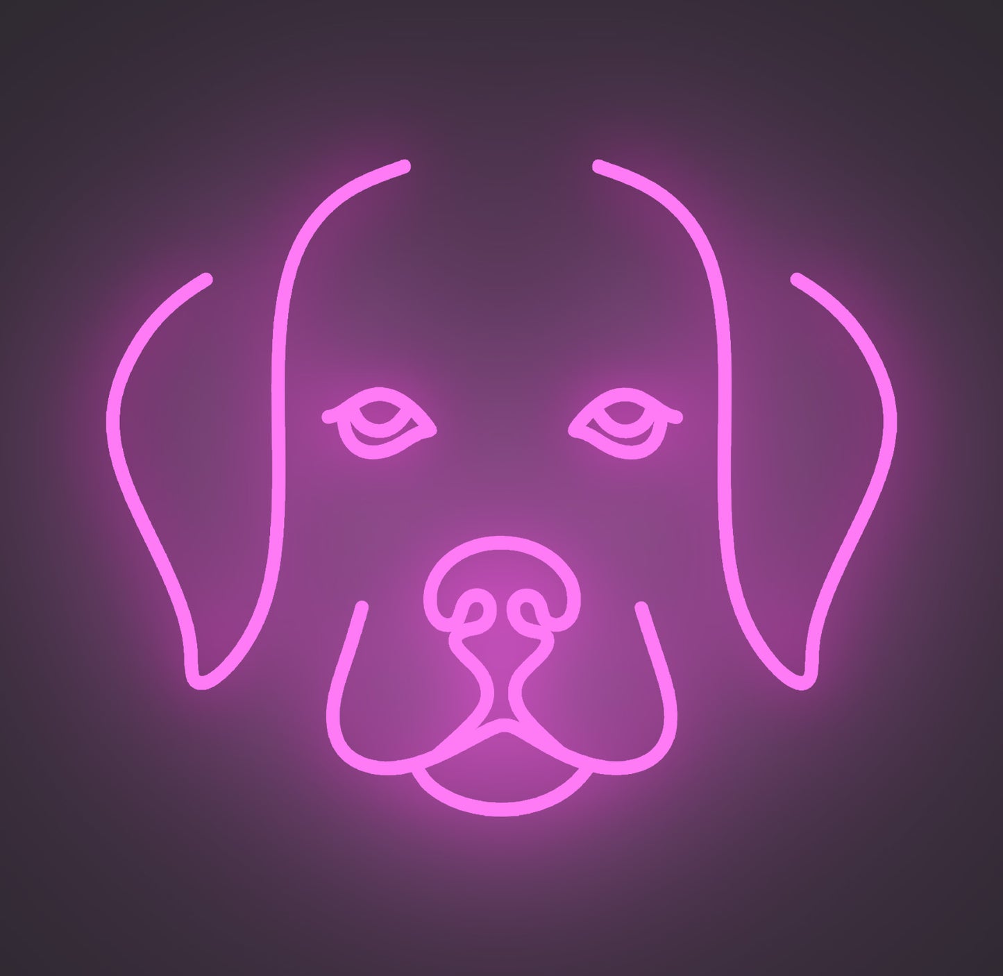 Labrador Retriever Puppy Dog