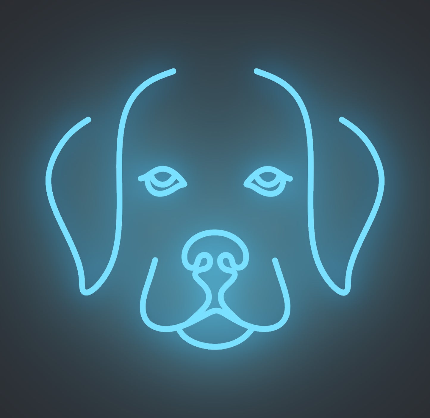 Labrador Retriever Puppy Dog