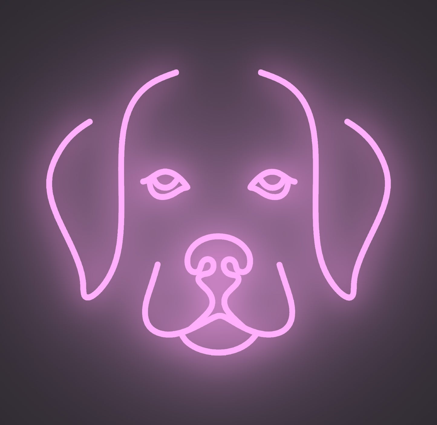 Labrador Retriever Puppy Dog