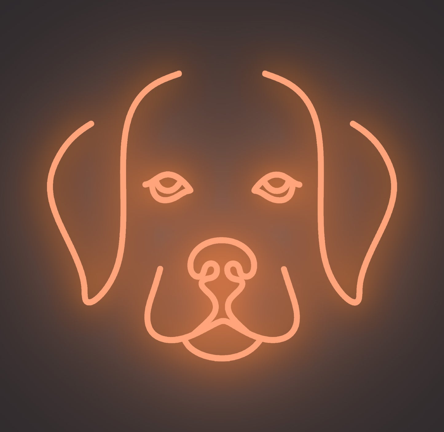 Labrador Retriever Puppy Dog