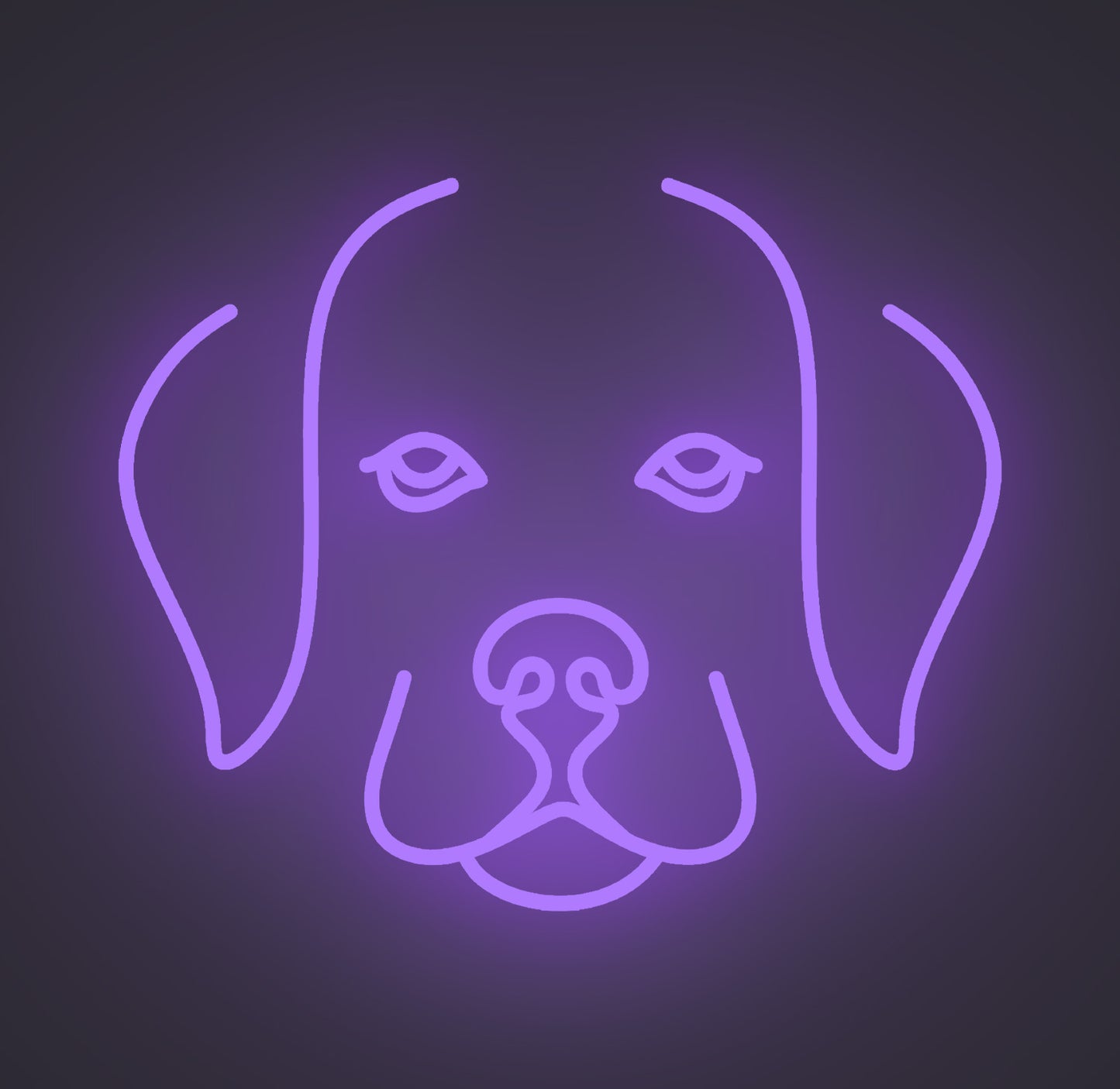 Labrador Retriever Puppy Dog