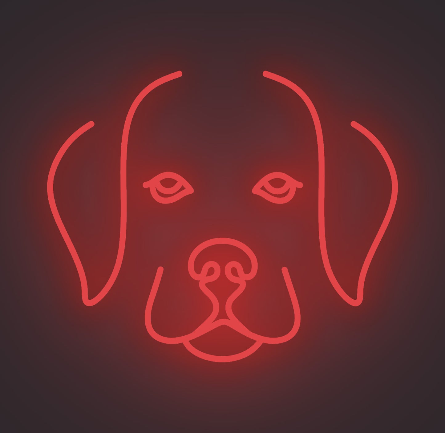 Labrador Retriever Puppy Dog