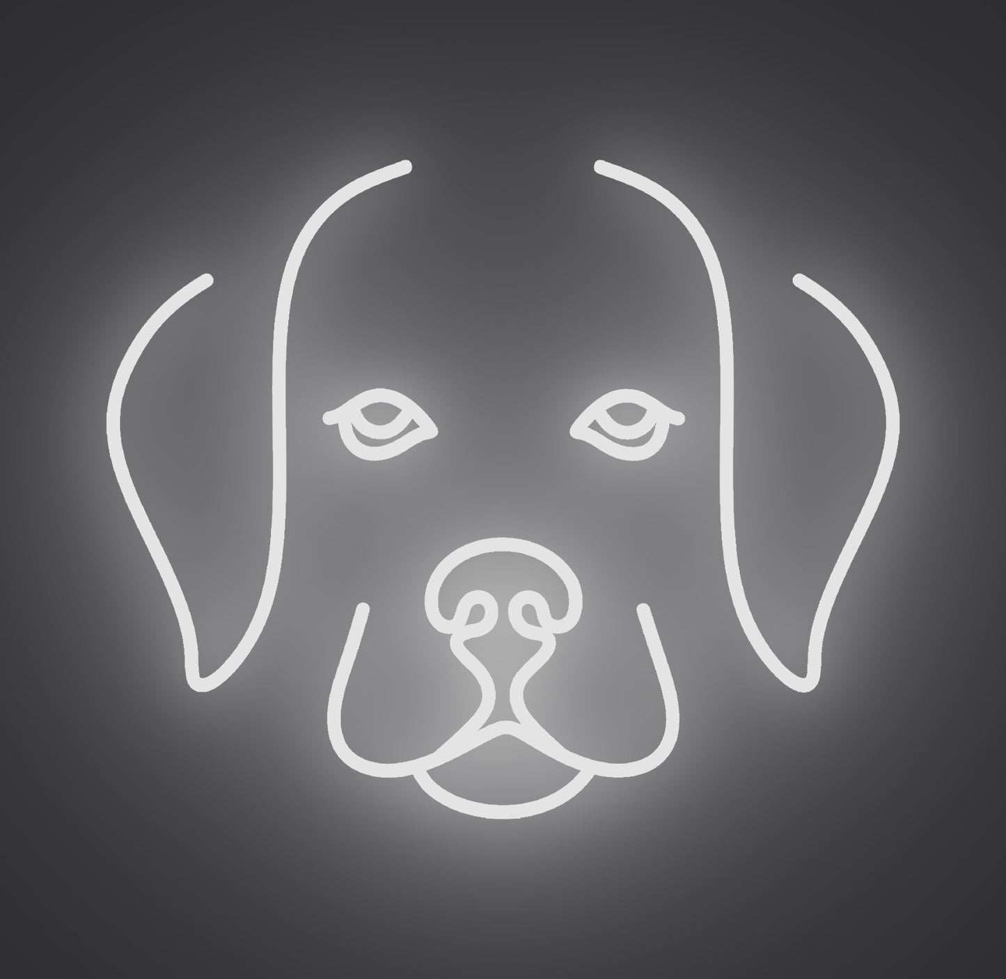 Labrador Retriever Puppy Dog