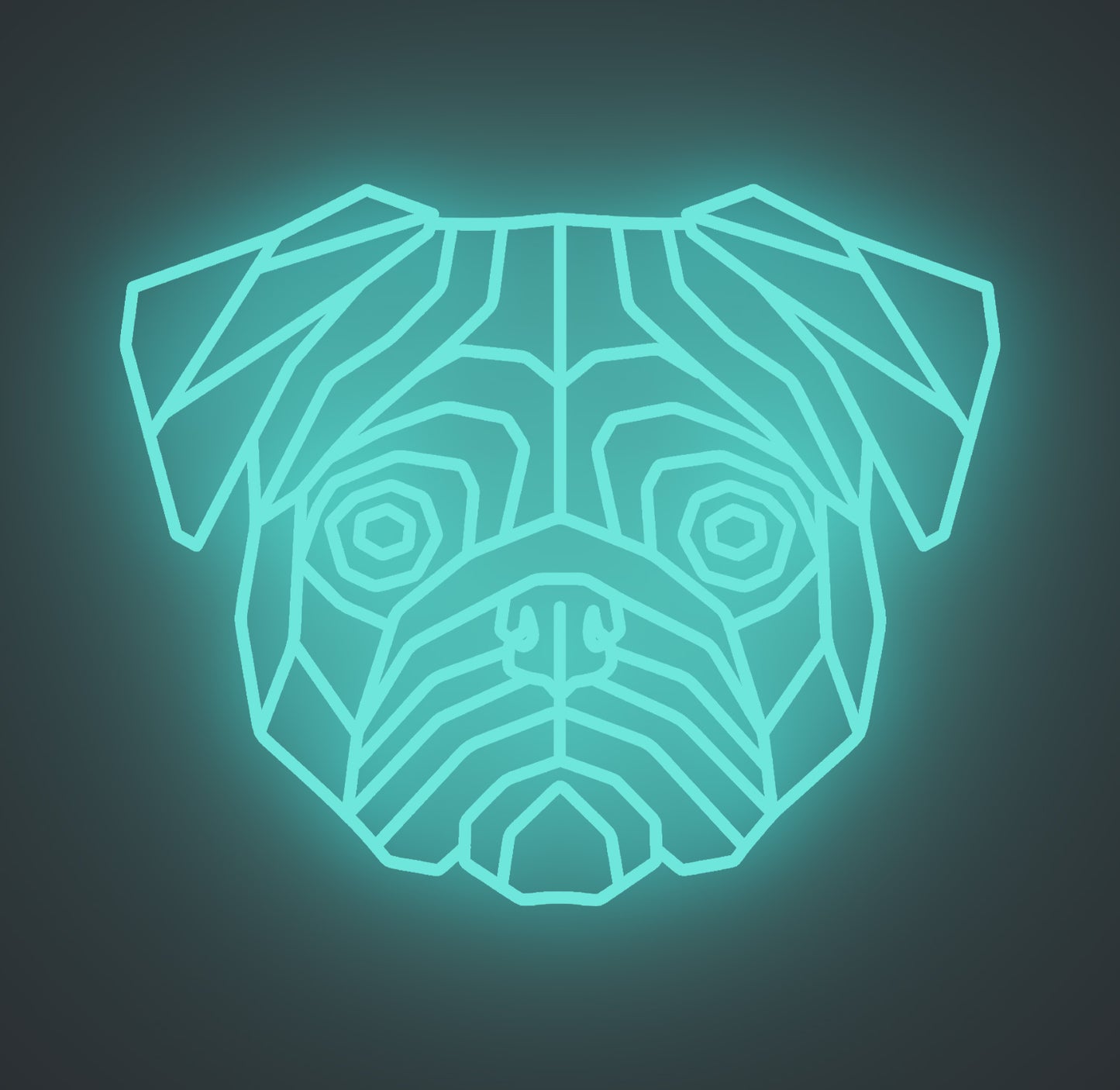 Pug Dog 01