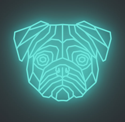 Pug Dog 01