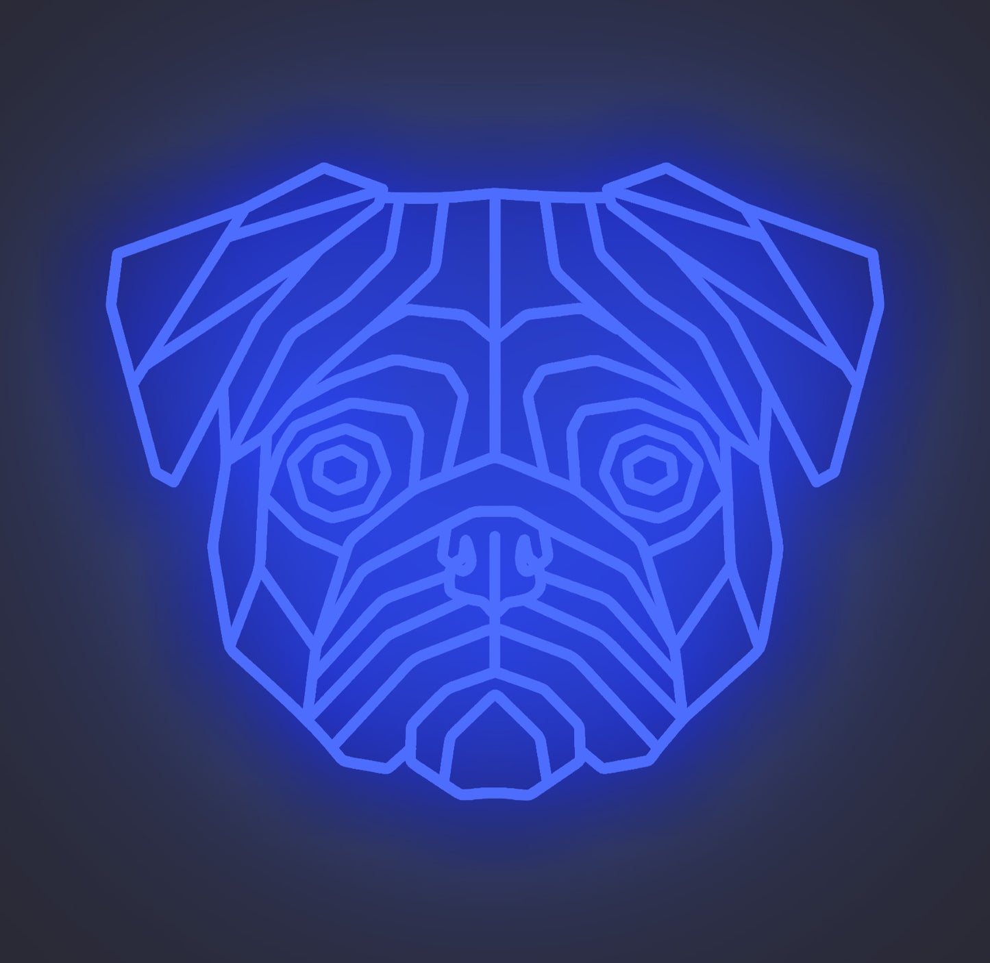 Pug Dog 01