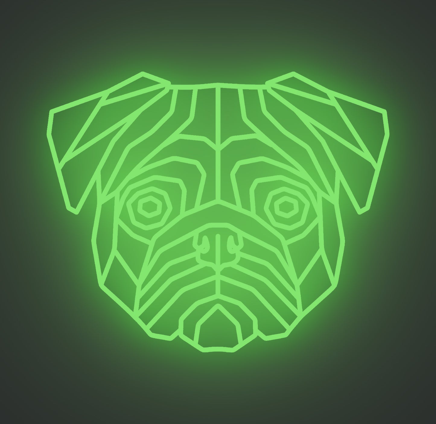 Pug Dog 01