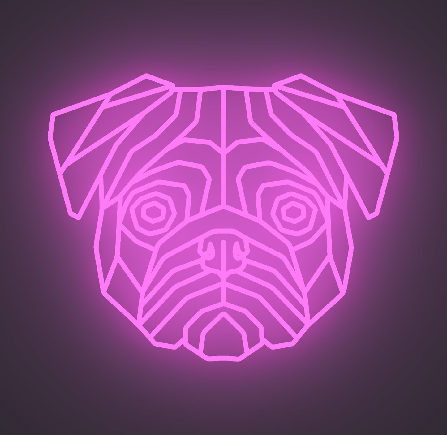 Pug Dog 01
