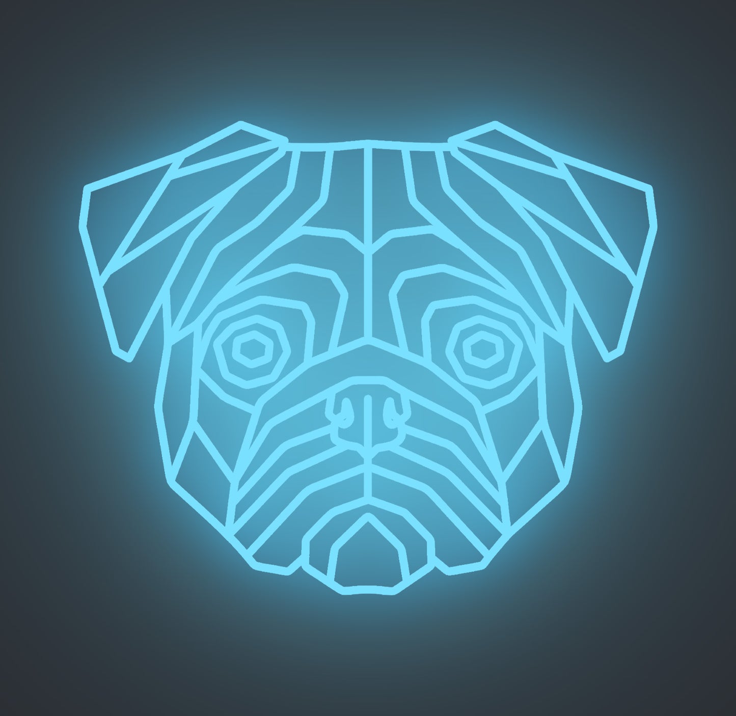 Pug Dog 01