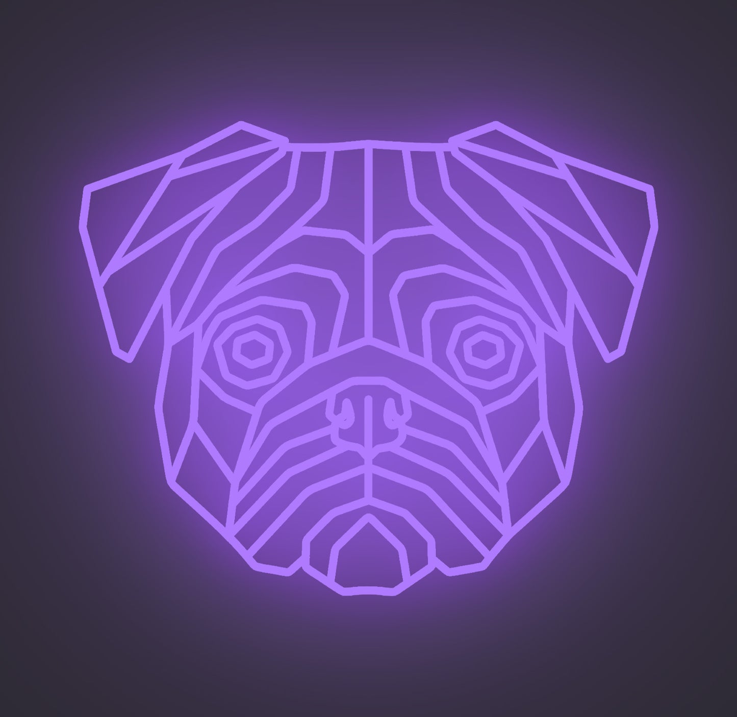 Pug Dog 01