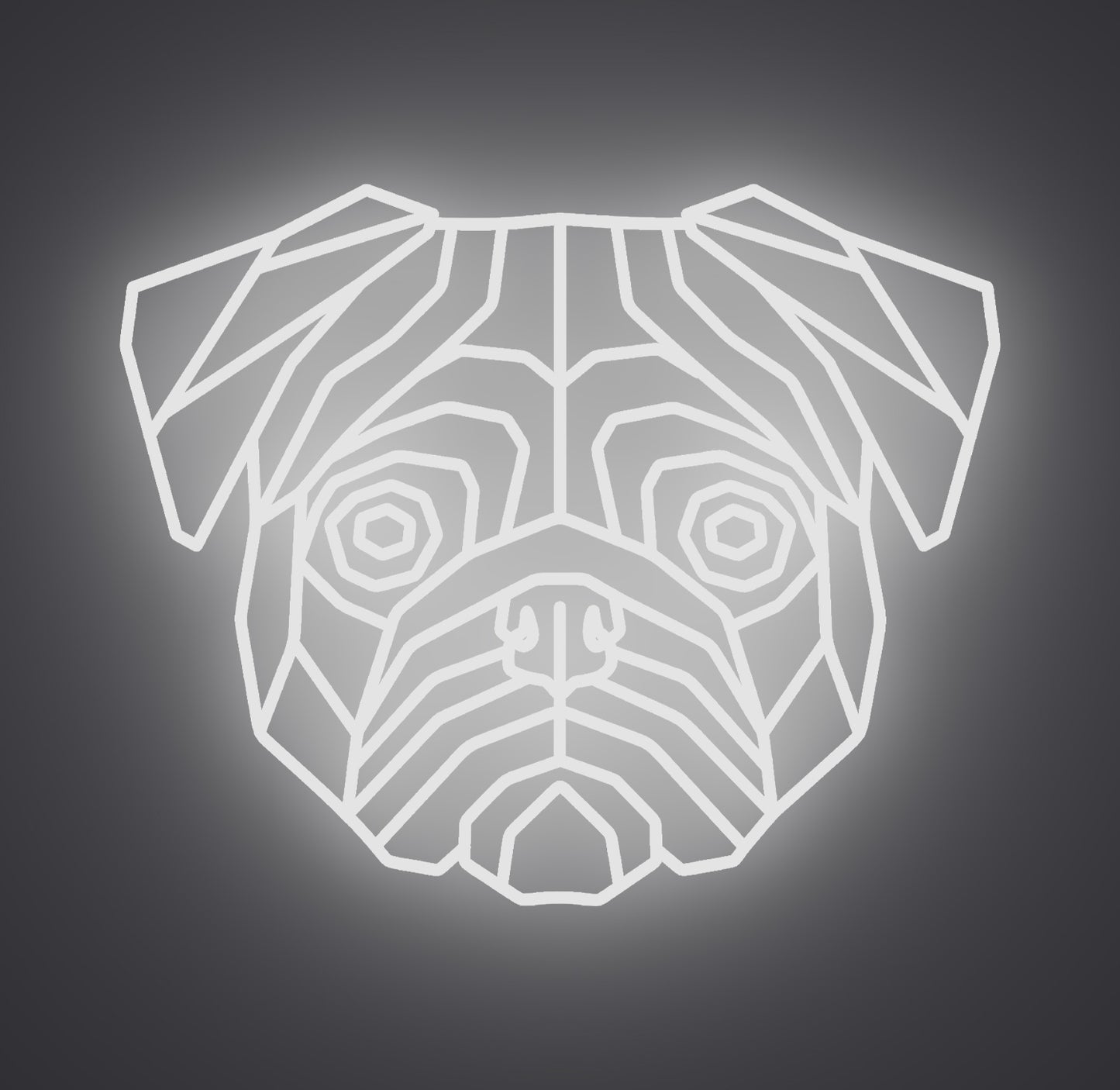 Pug Dog 01