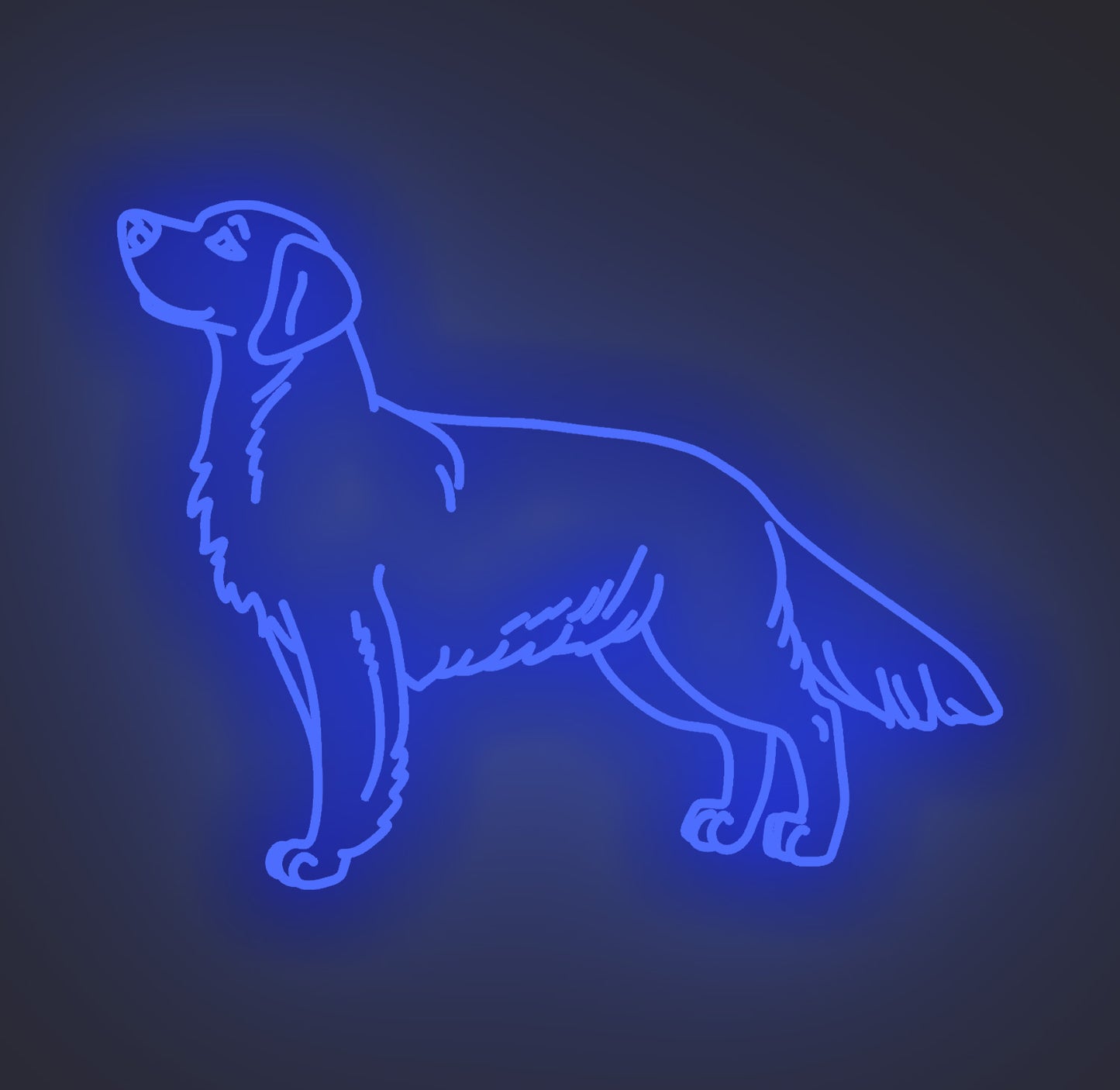 Golden Retriever Dog 02