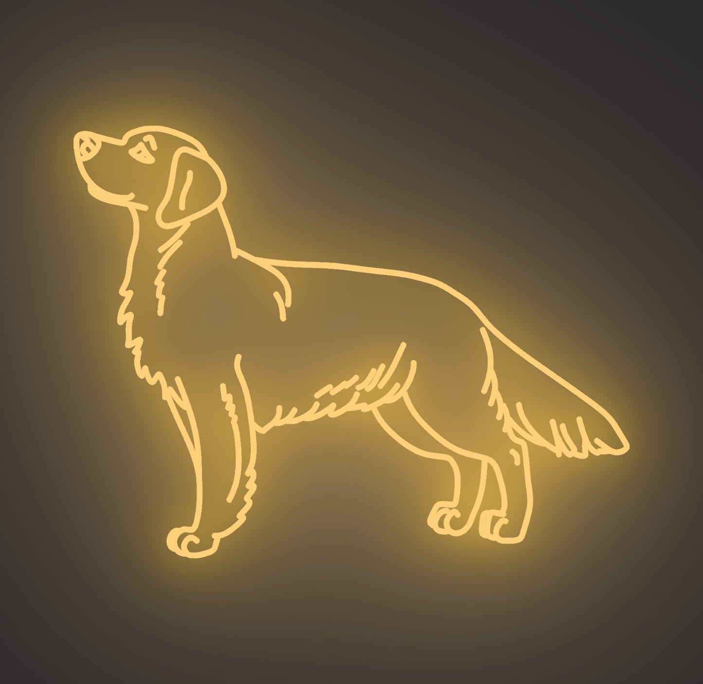 Golden Retriever Dog 02