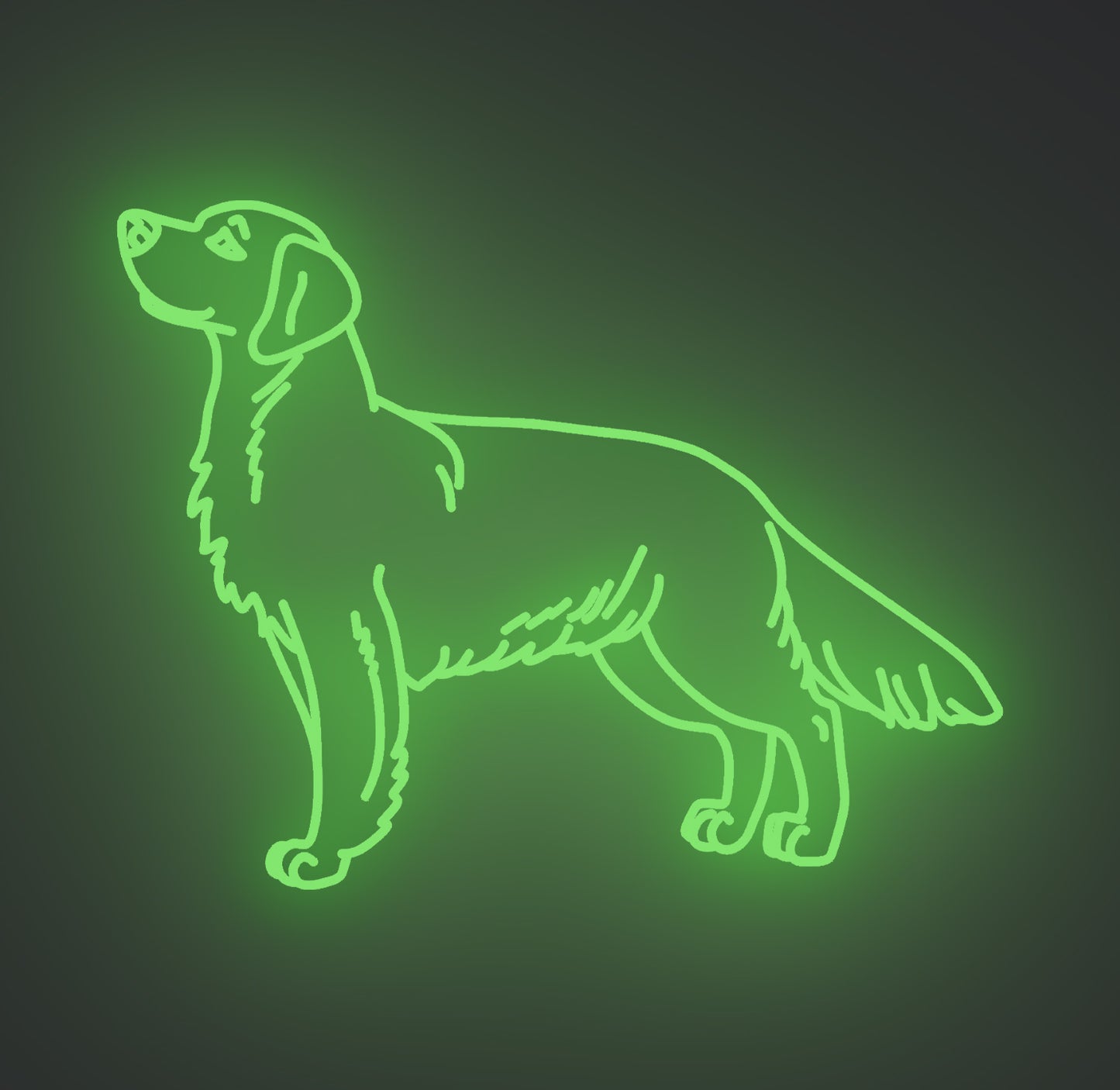 Golden Retriever Dog 02