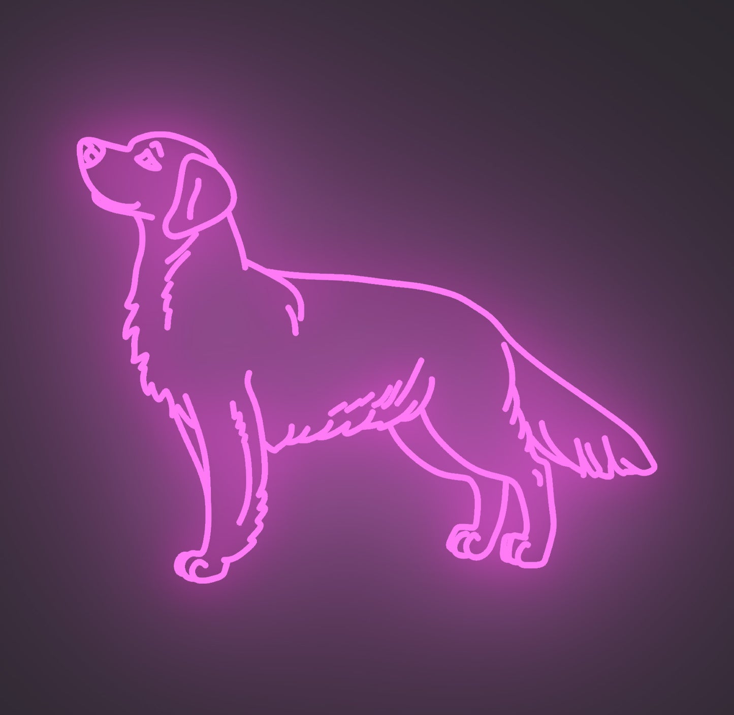 Golden Retriever Dog 02