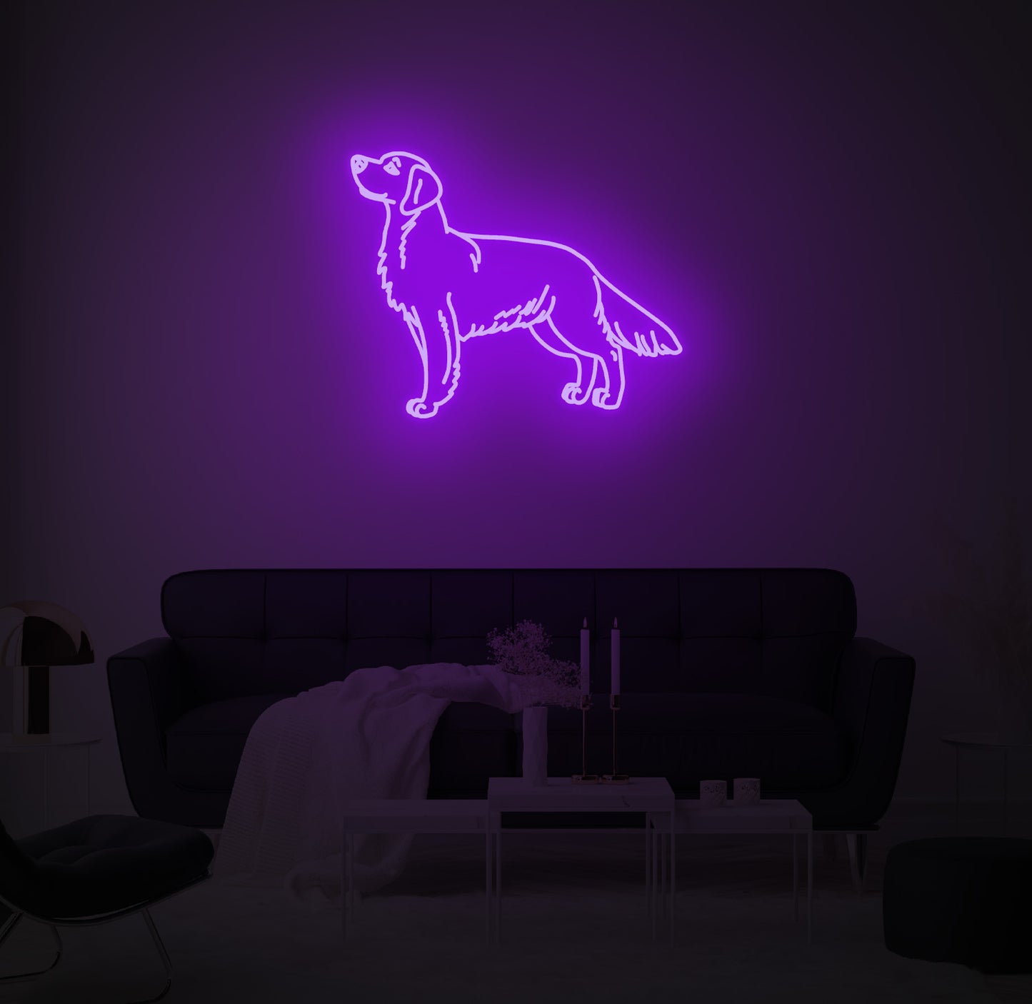 Golden Retriever Dog 02