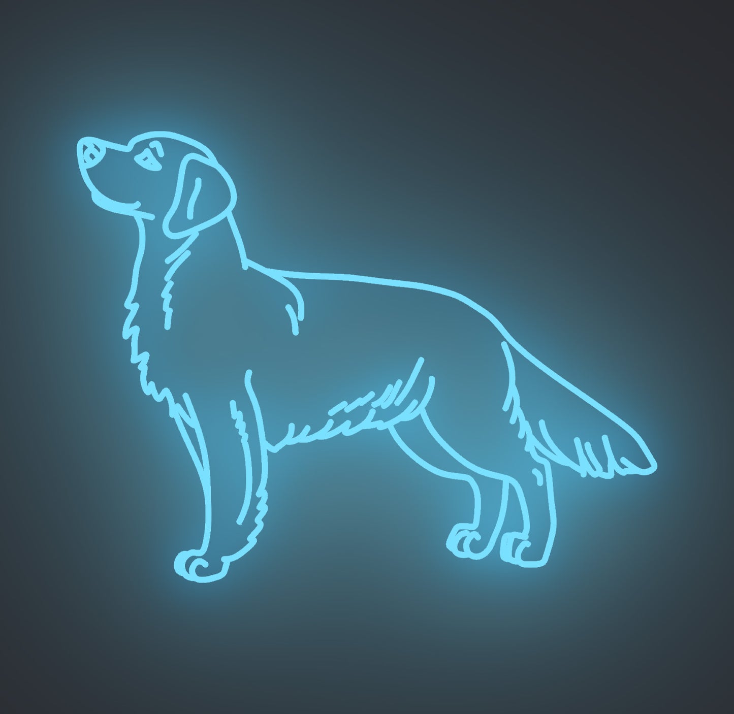 Golden Retriever Dog 02