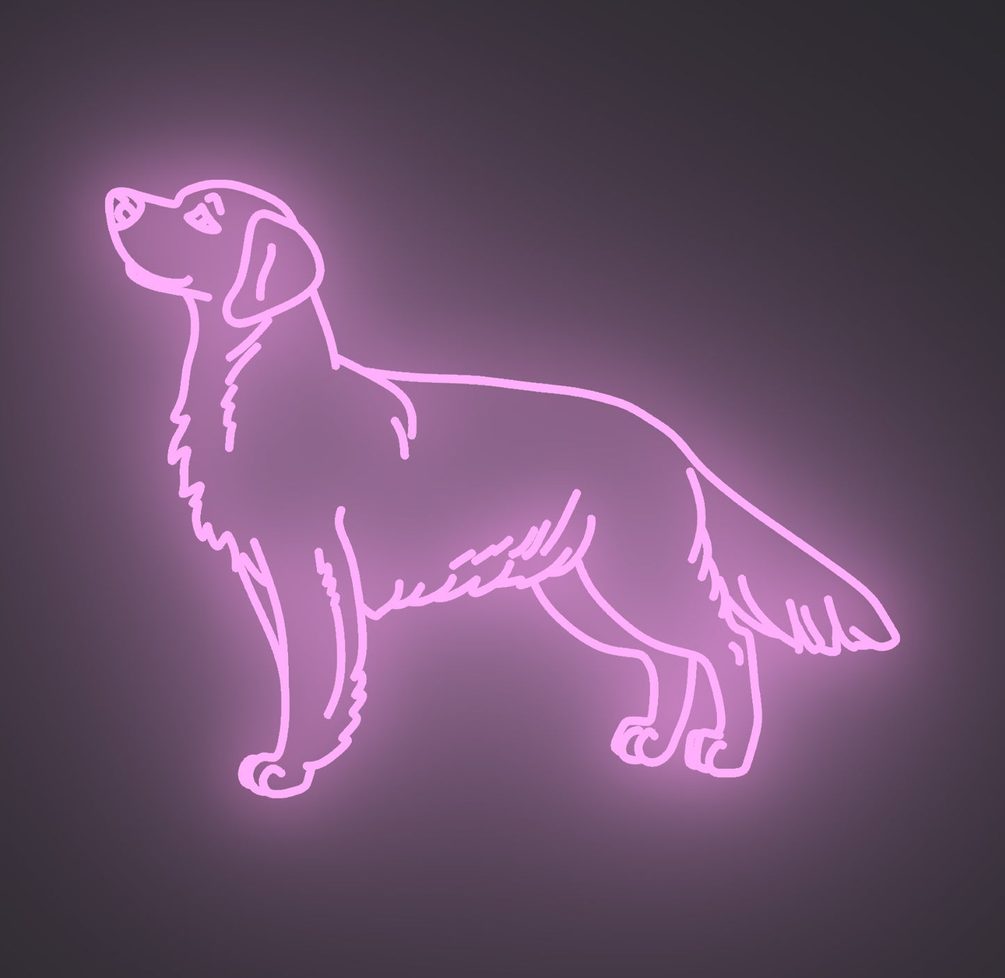 Golden Retriever Dog 02