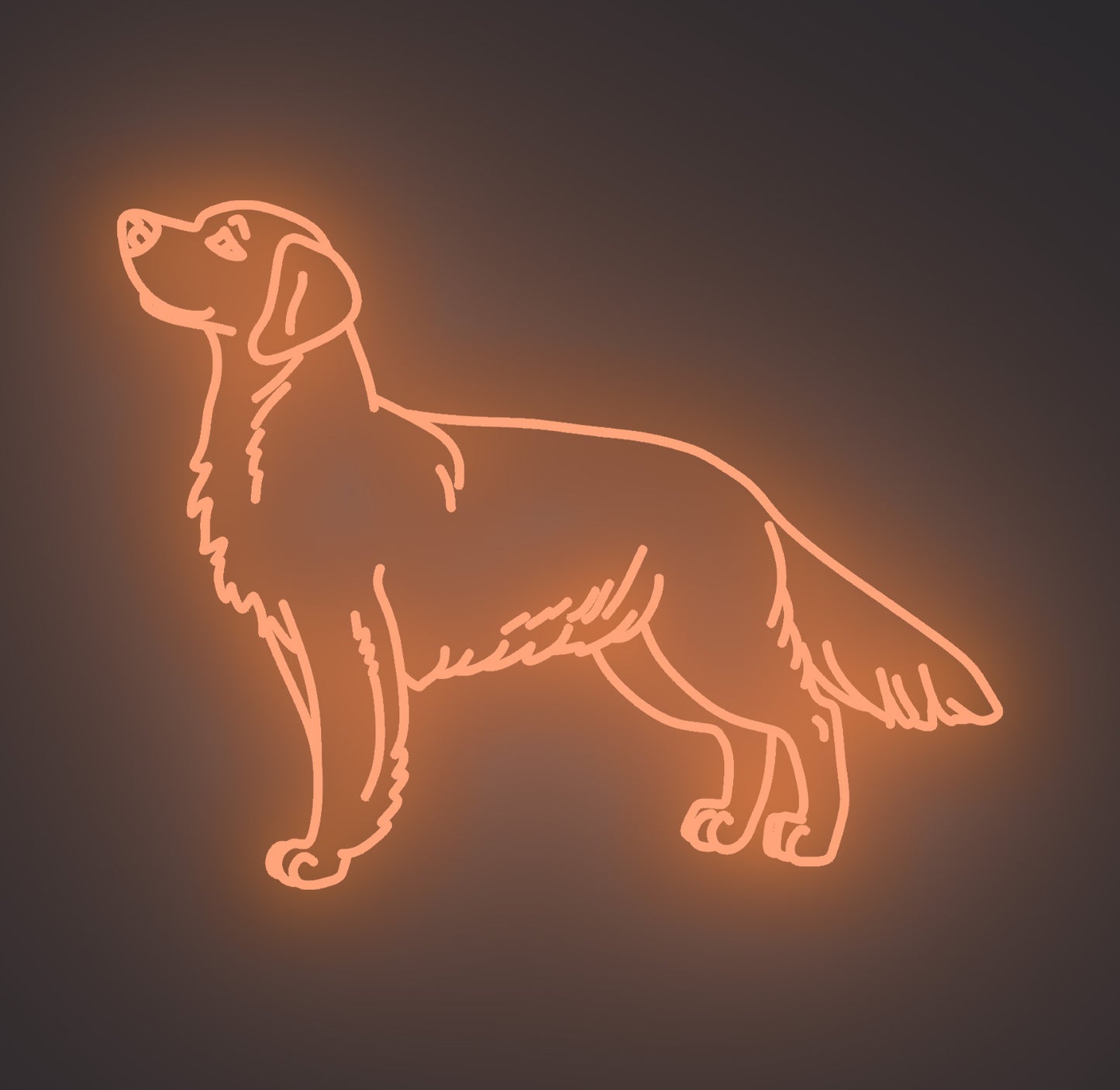 Golden Retriever Dog 02