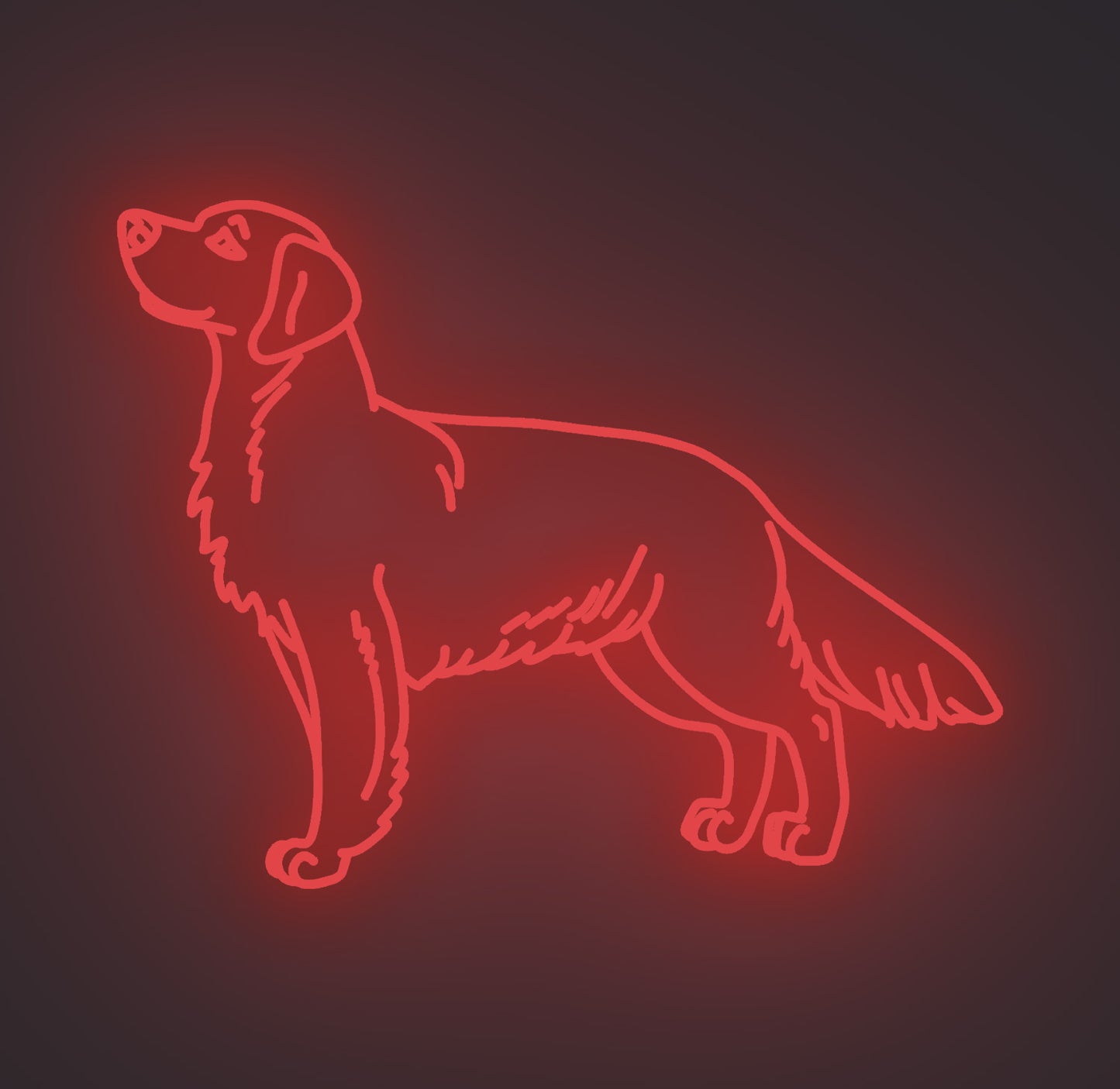 Golden Retriever Dog 02