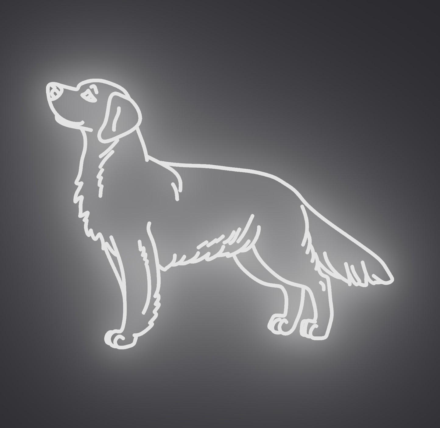 Golden Retriever Dog 02
