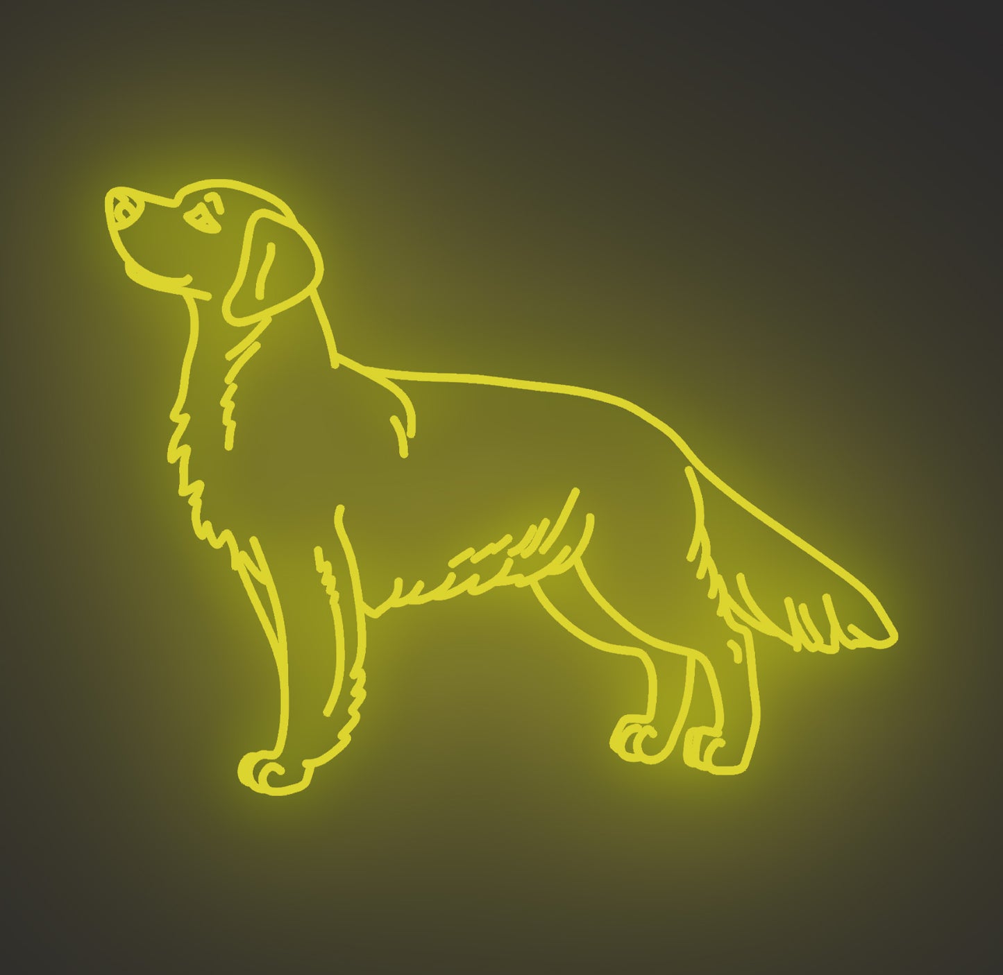 Golden Retriever Dog 02
