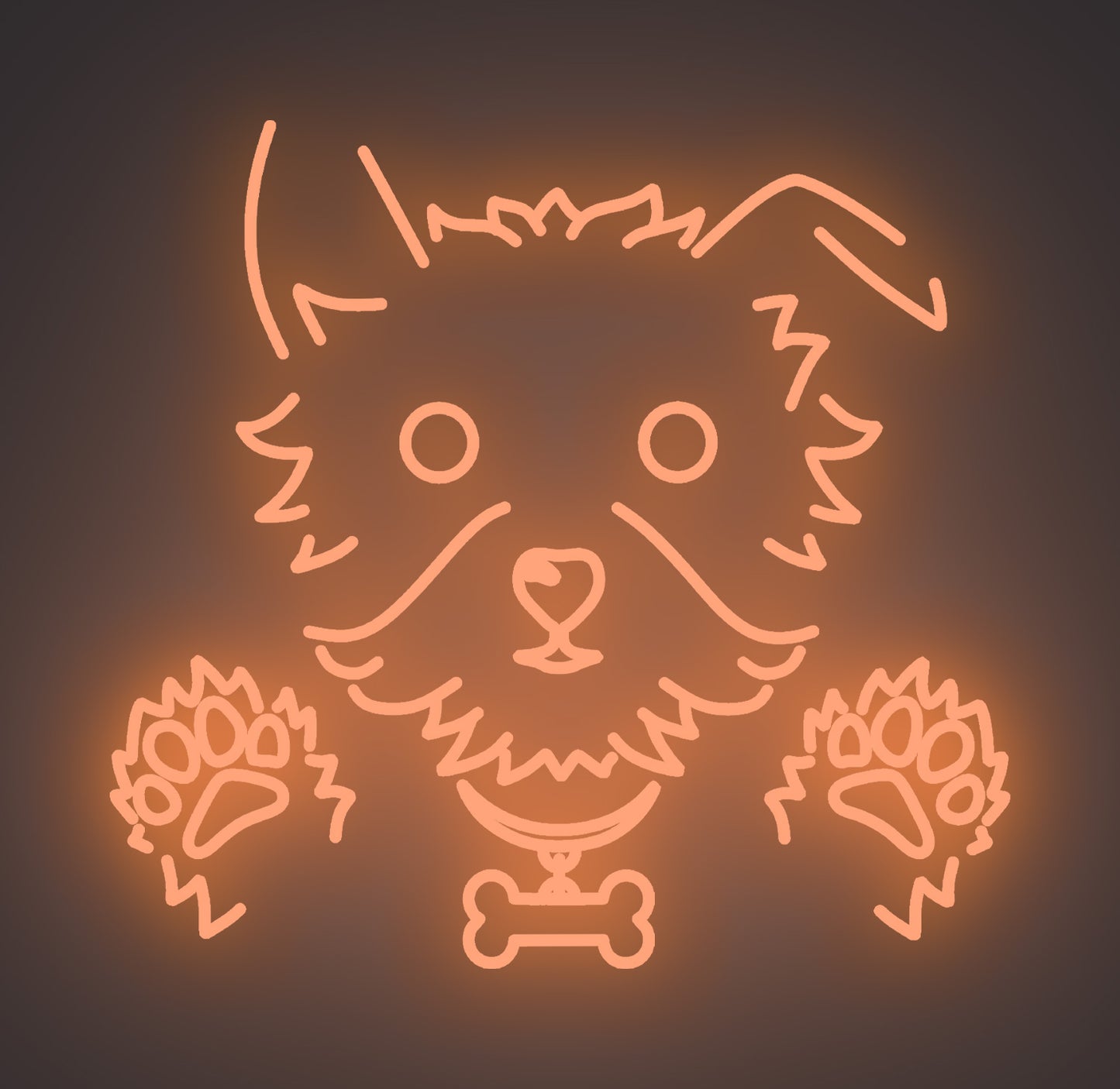 Cute Puppy Dog