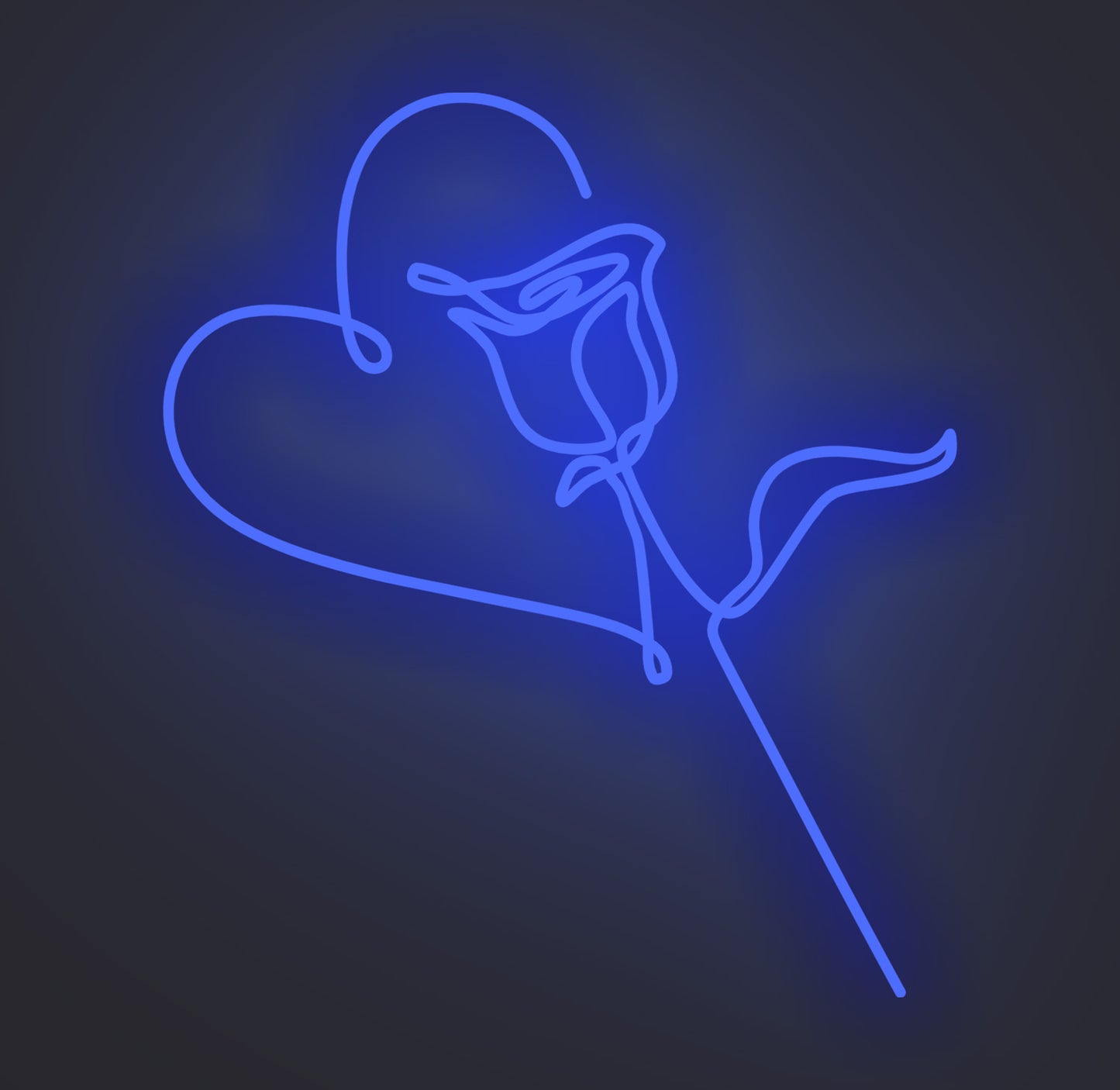 Valentine Love Rose