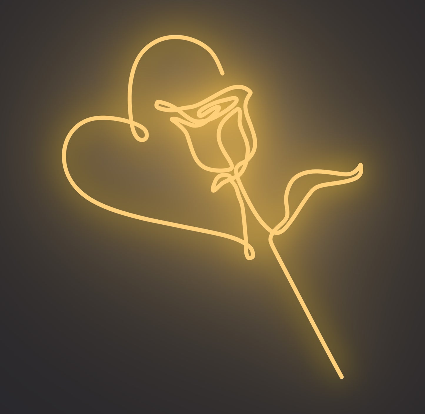 Valentine Love Rose
