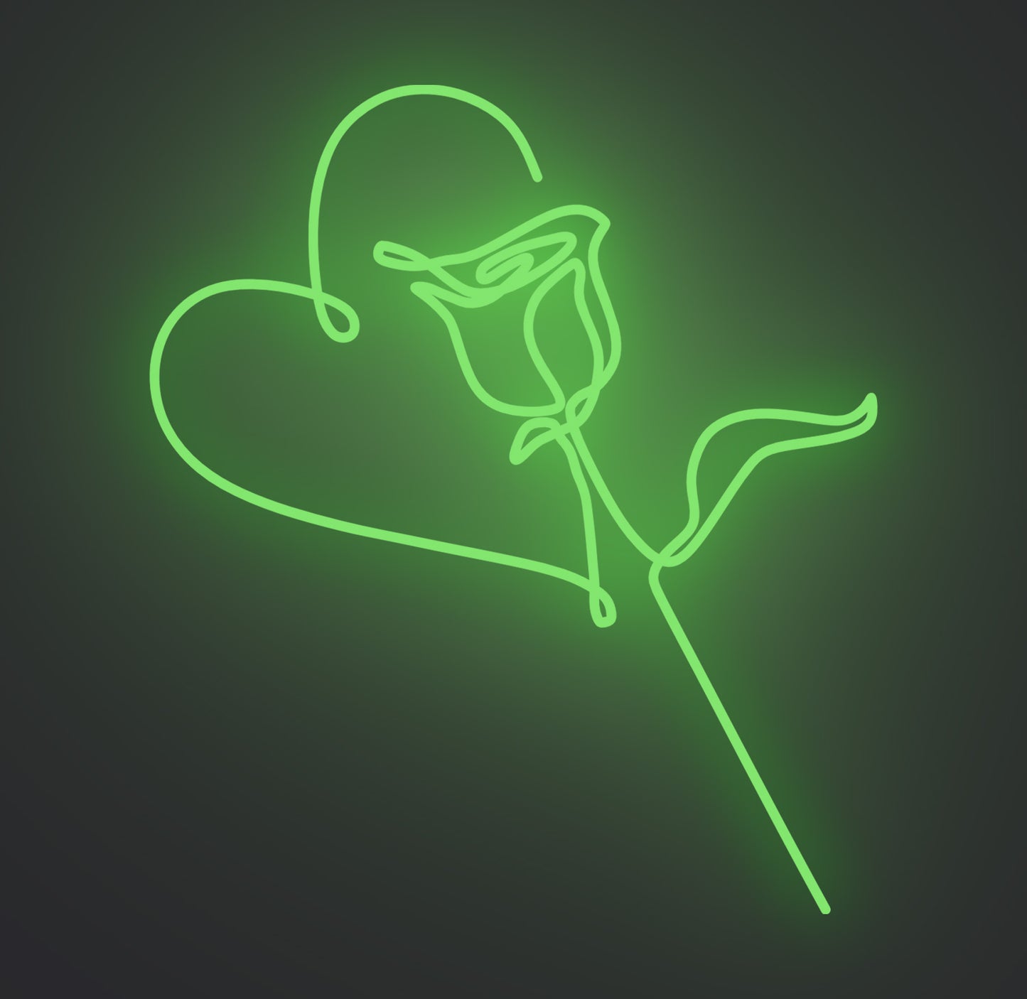 Valentine Love Rose