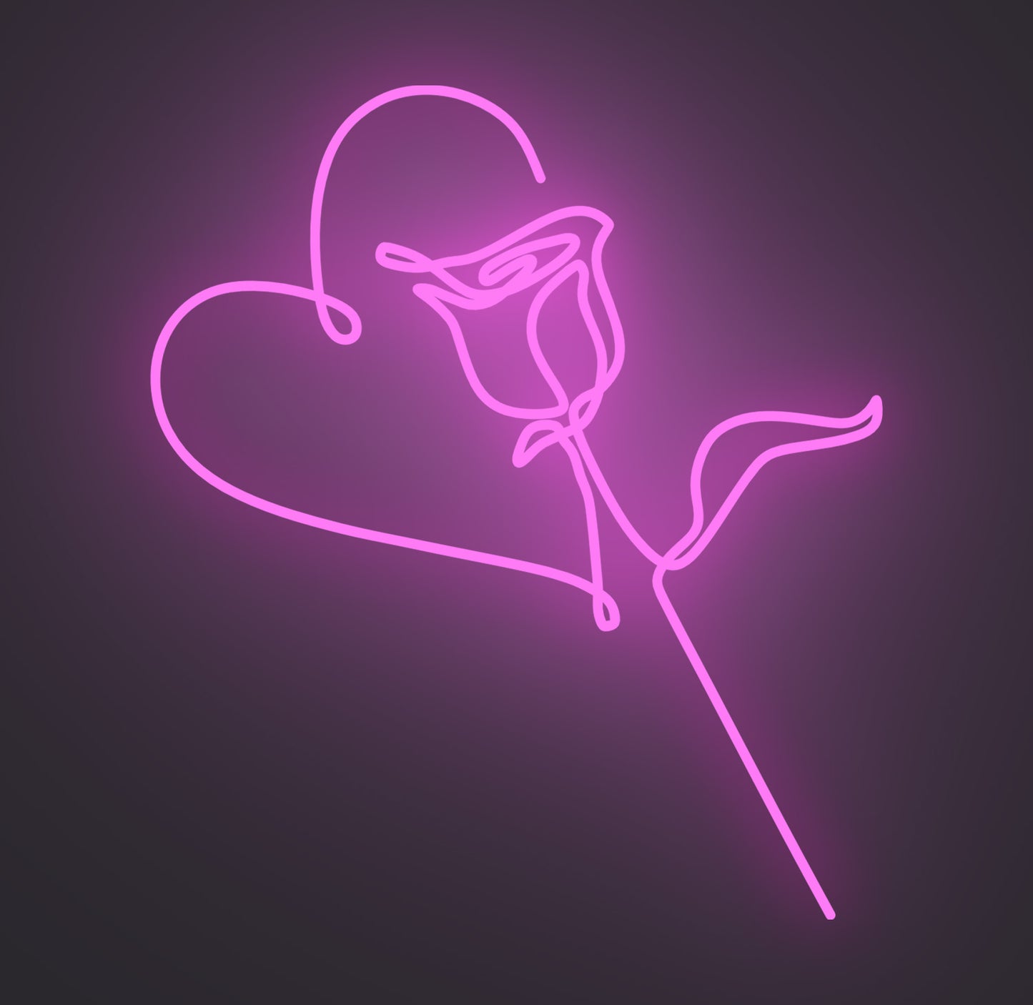 Valentine Love Rose