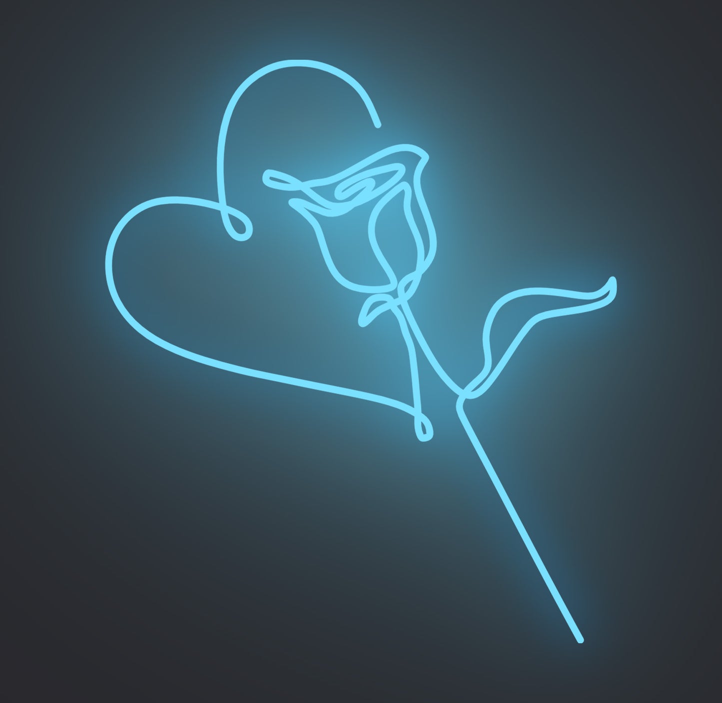 Valentine Love Rose