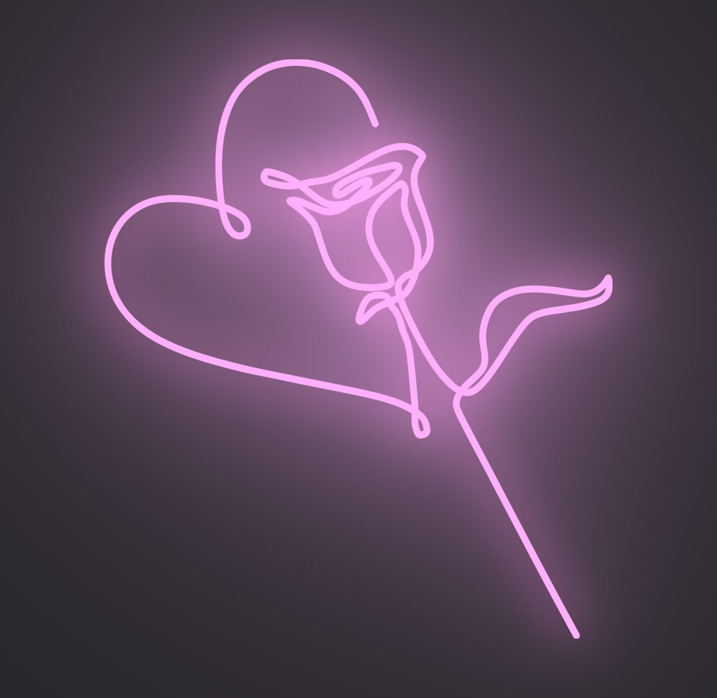 Valentine Love Rose