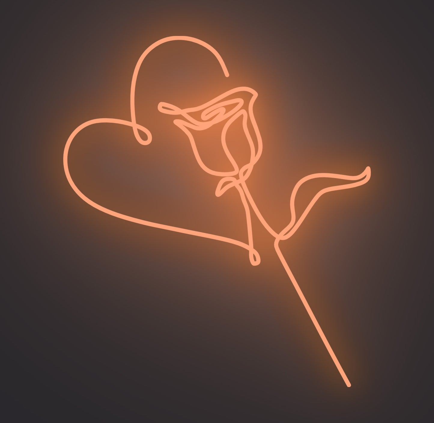 Valentine Love Rose