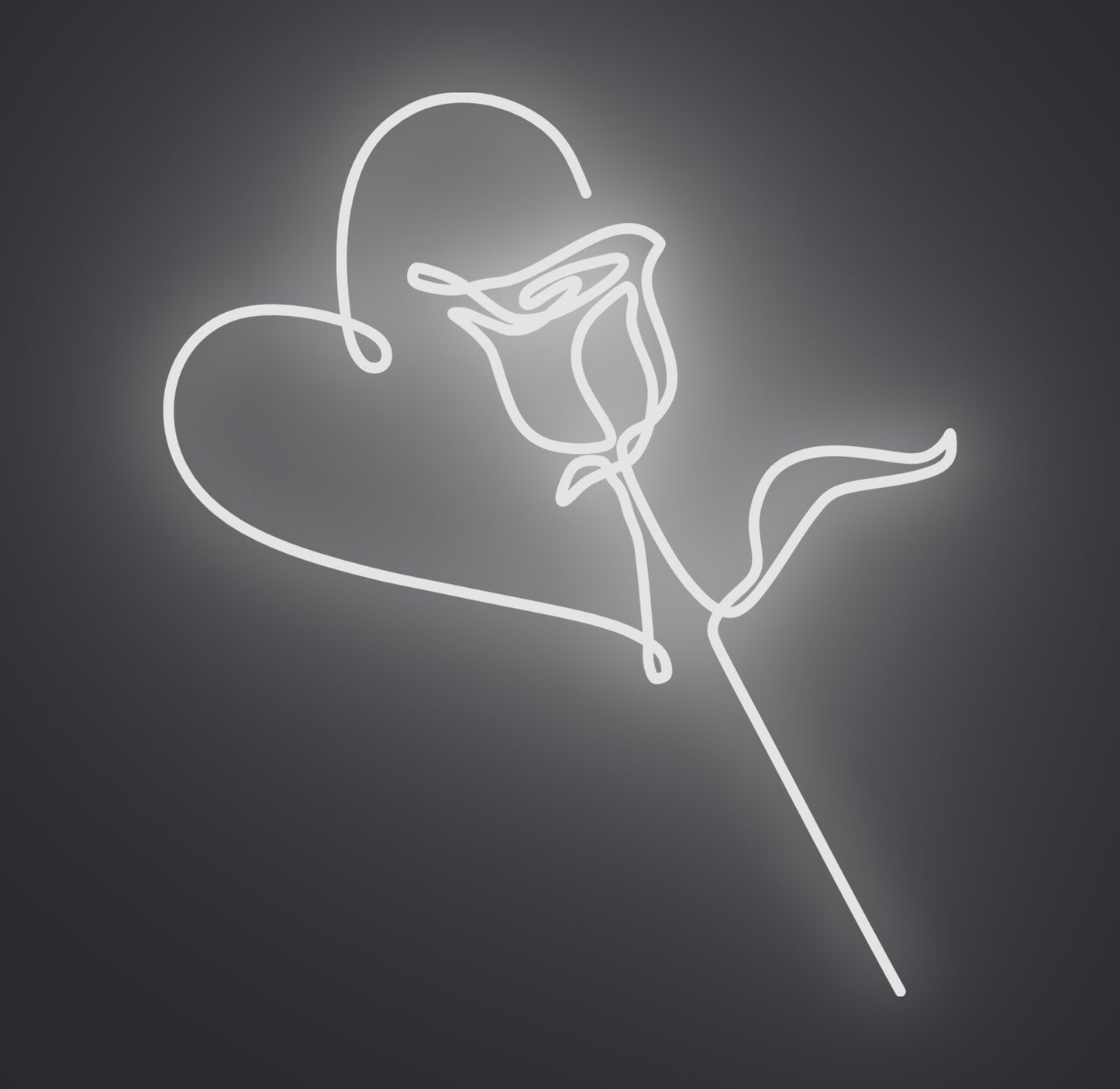 Valentine Love Rose