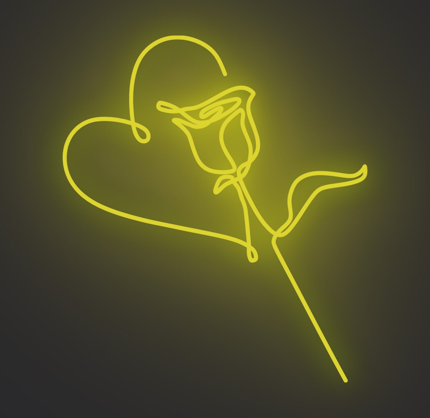 Valentine Love Rose