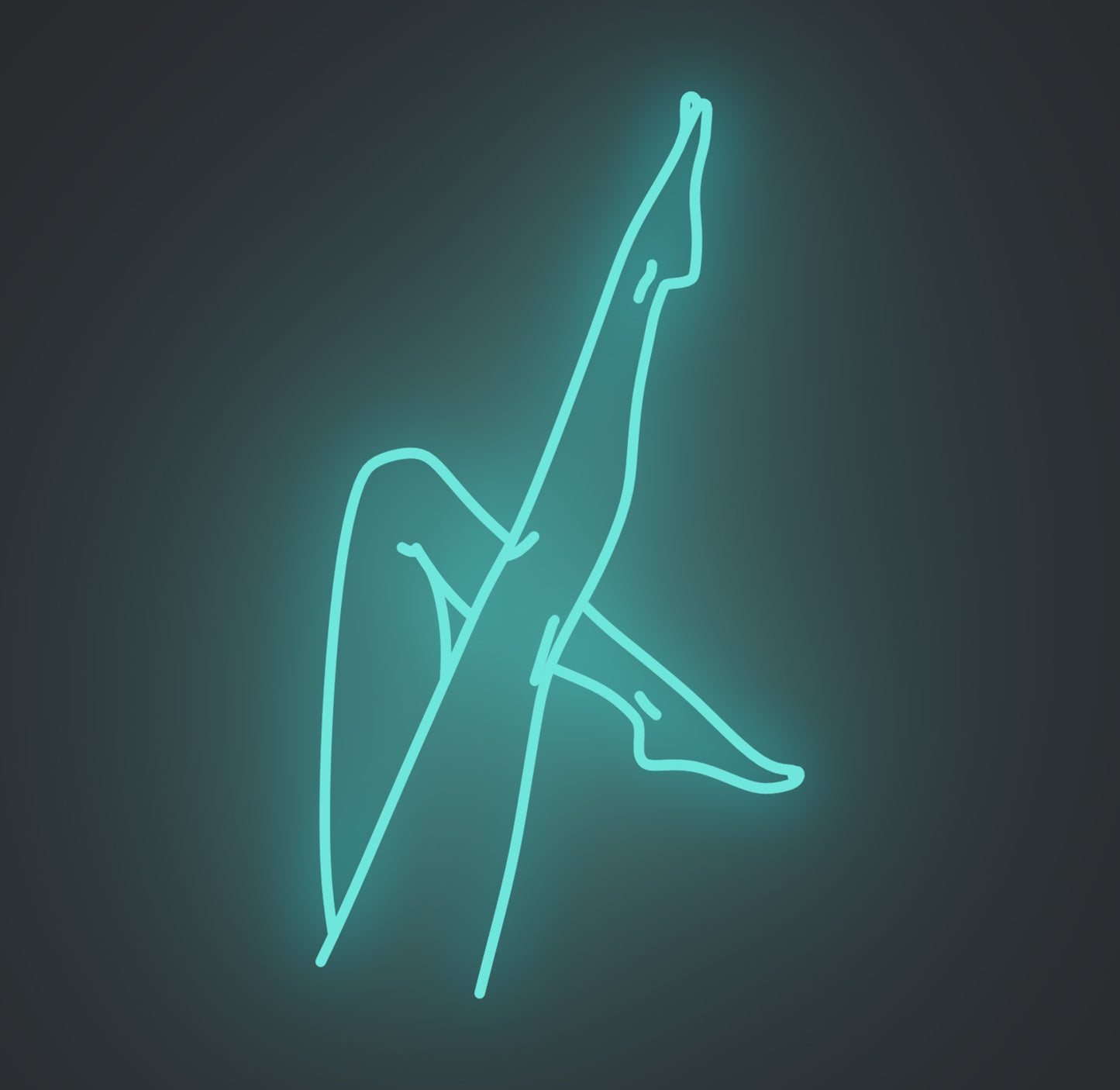Slim Female Legs