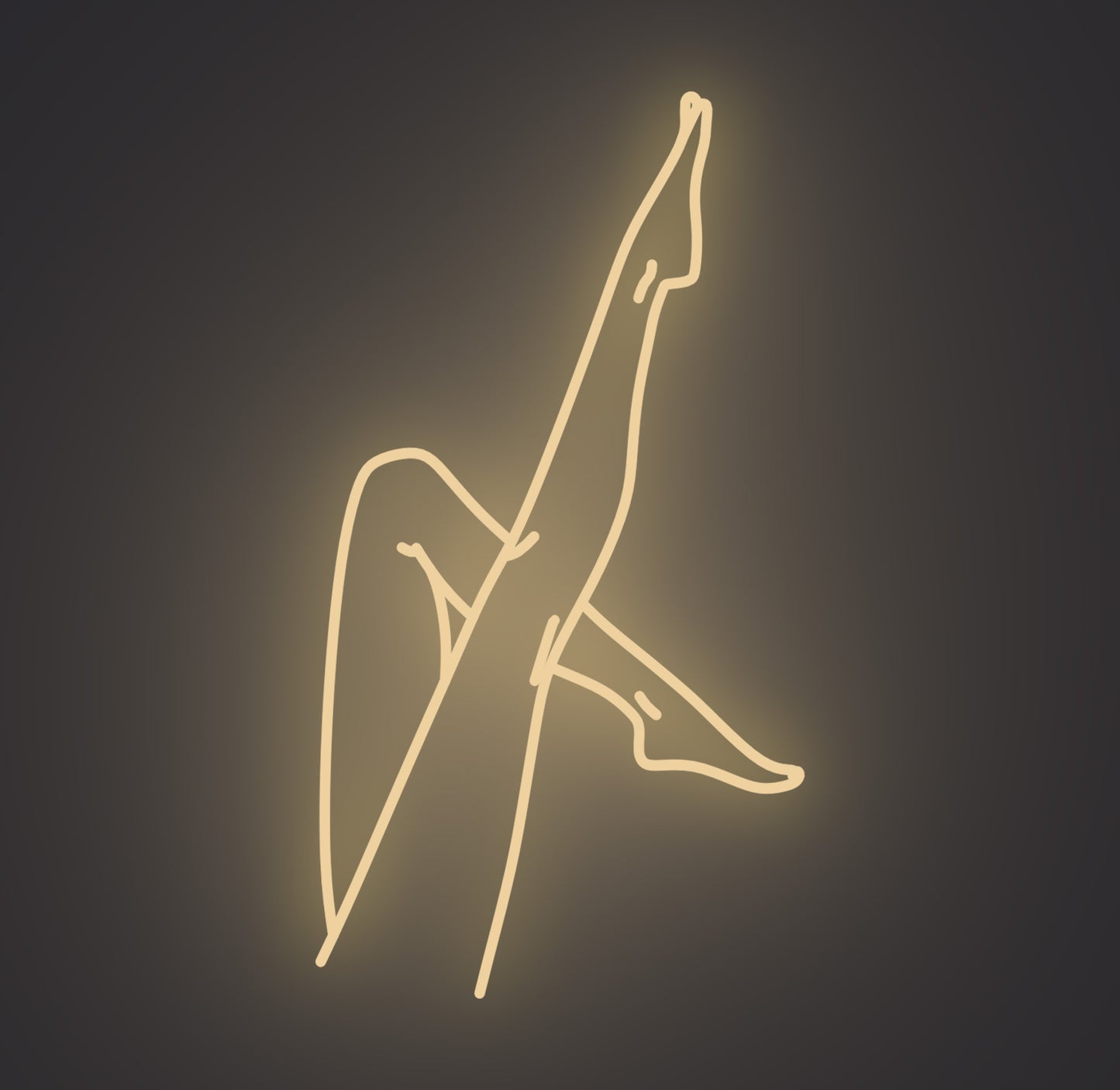 Slim Female Legs