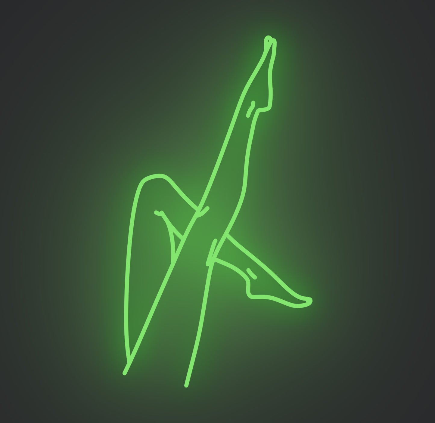 Slim Female Legs